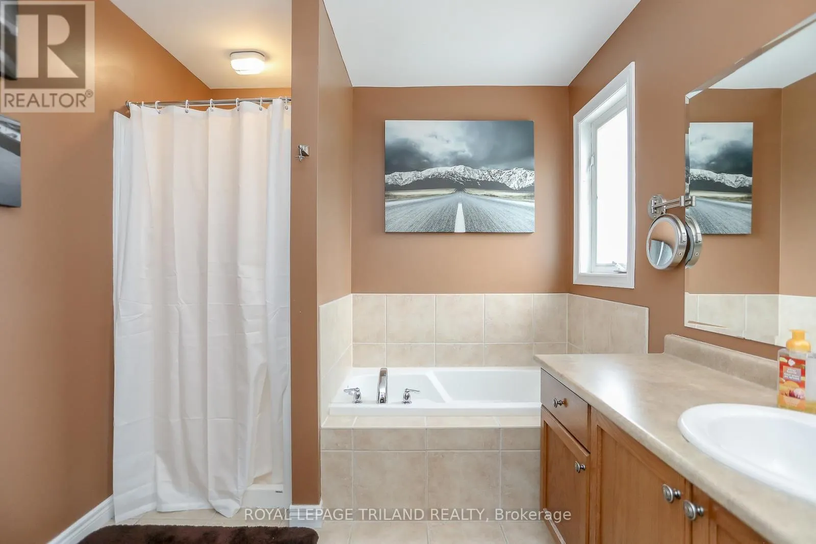 1356 BIRCHWOOD DRIVE