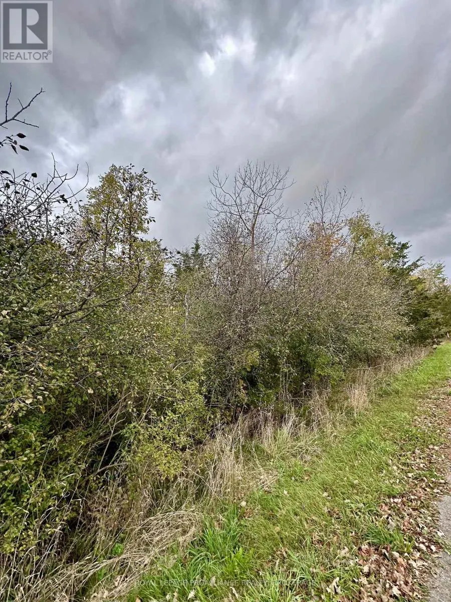 LOT 15 MARTIN DRIVE