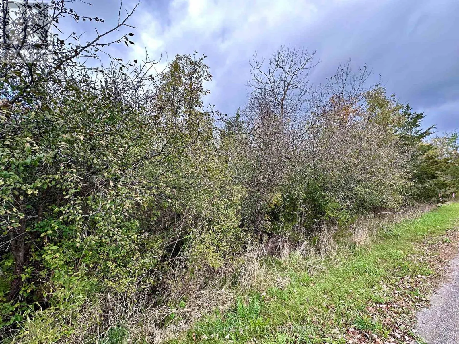 LOT 15 MARTIN DRIVE