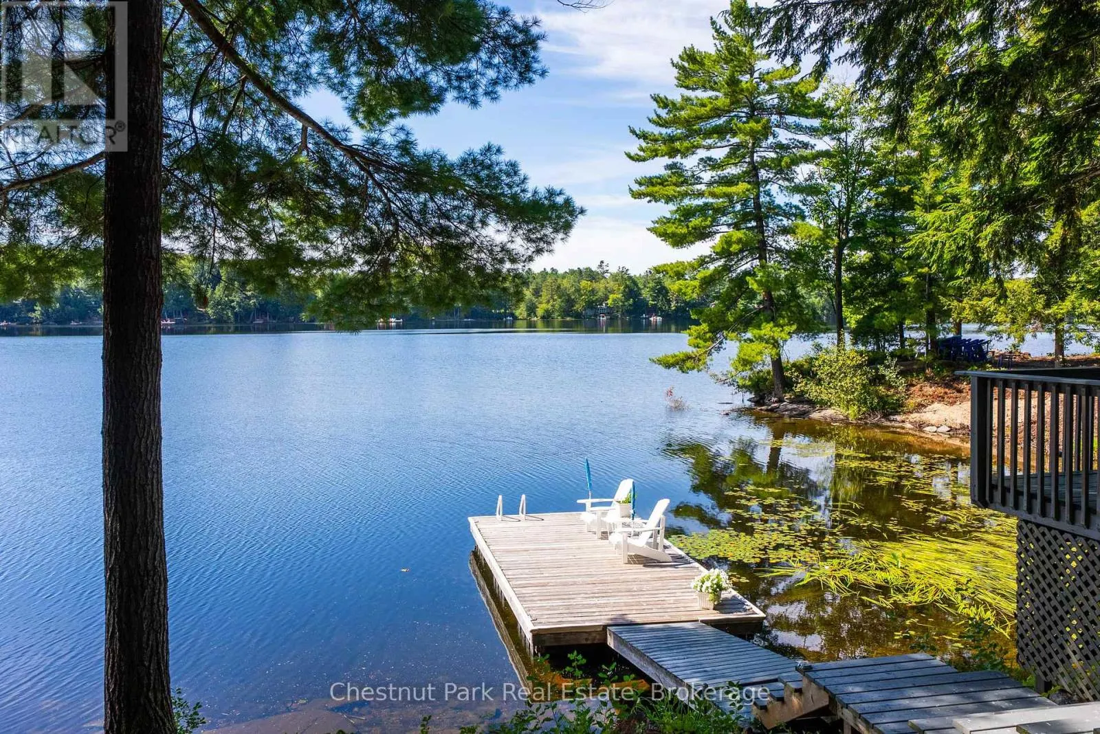 5 - 1192 WHITES ROAD, #5