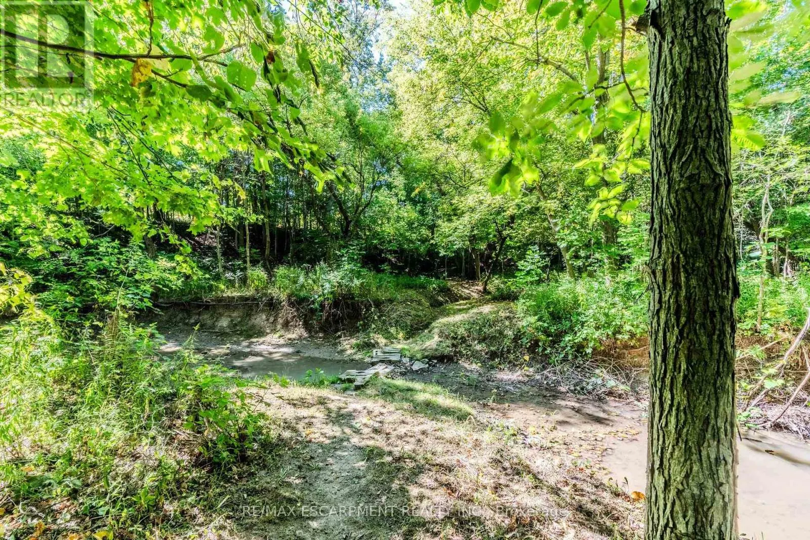 4165 KIRK ROAD