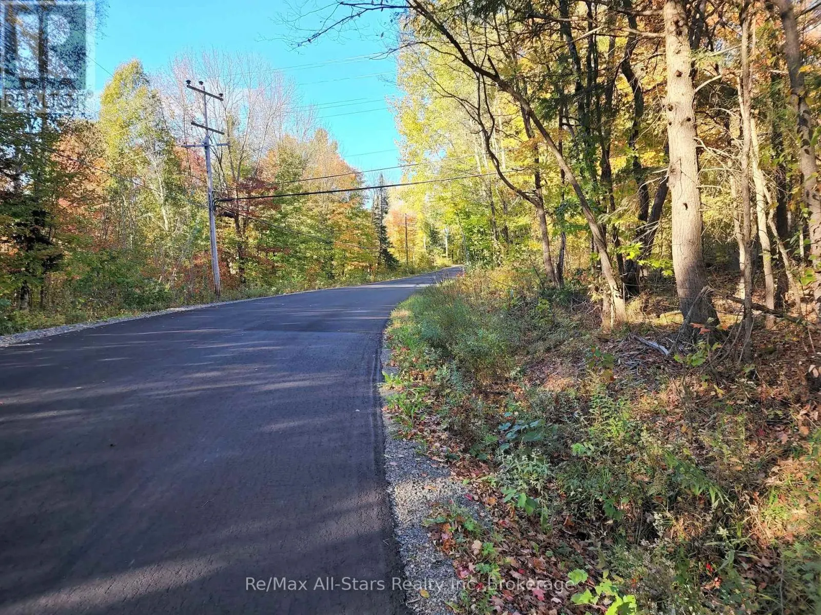 A TALLY HO WINTER PARK ROAD