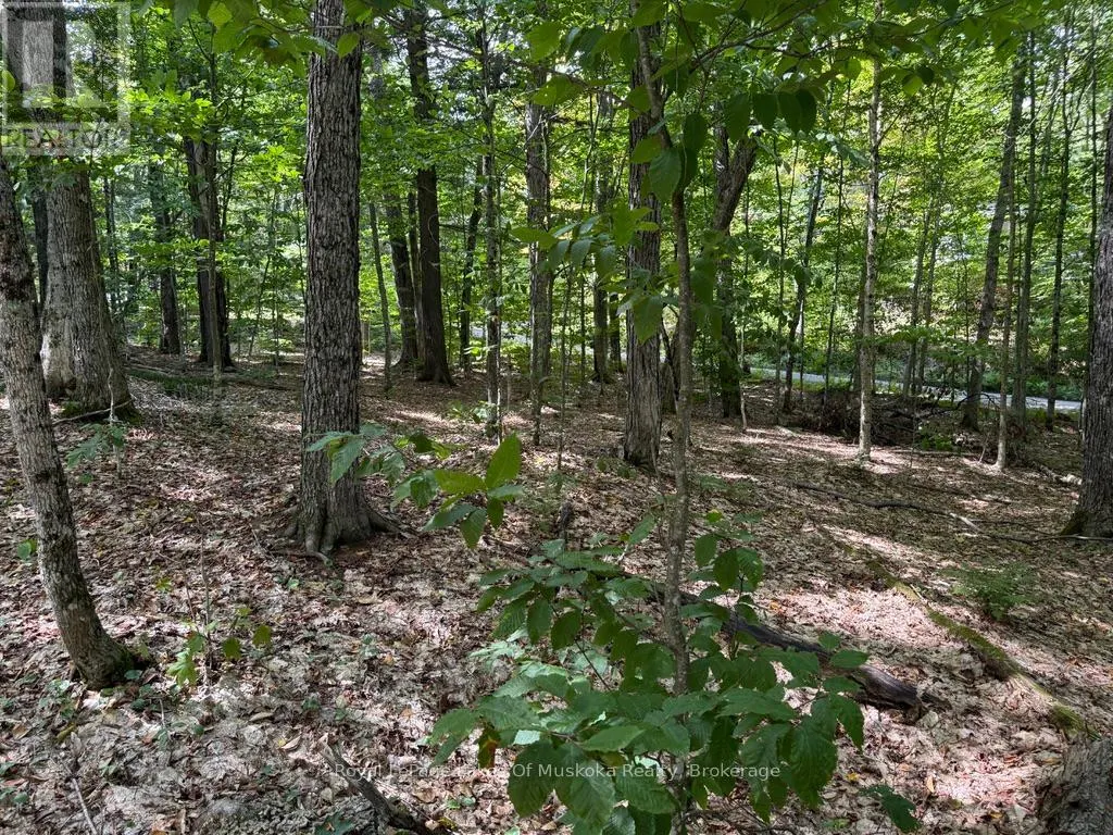LOT 85 BRENNAN CIRCLE