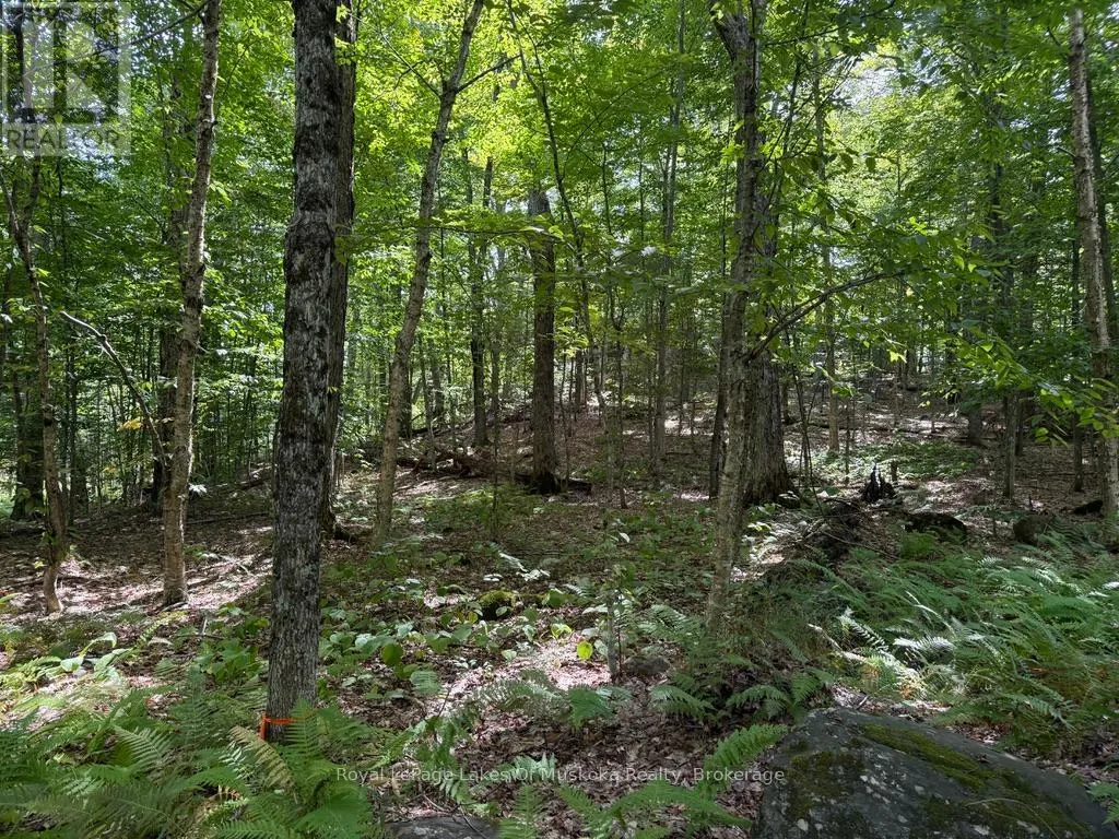 LOT 85 BRENNAN CIRCLE