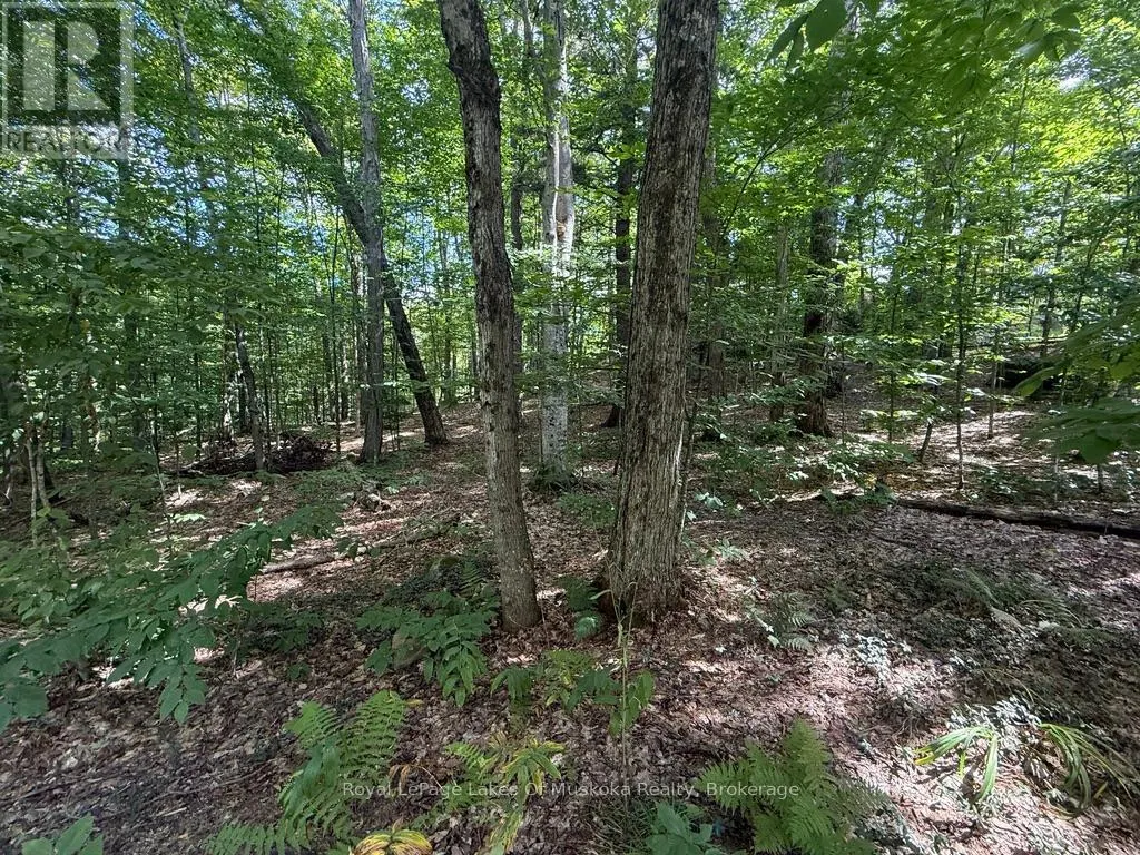 LOT 85 BRENNAN CIRCLE