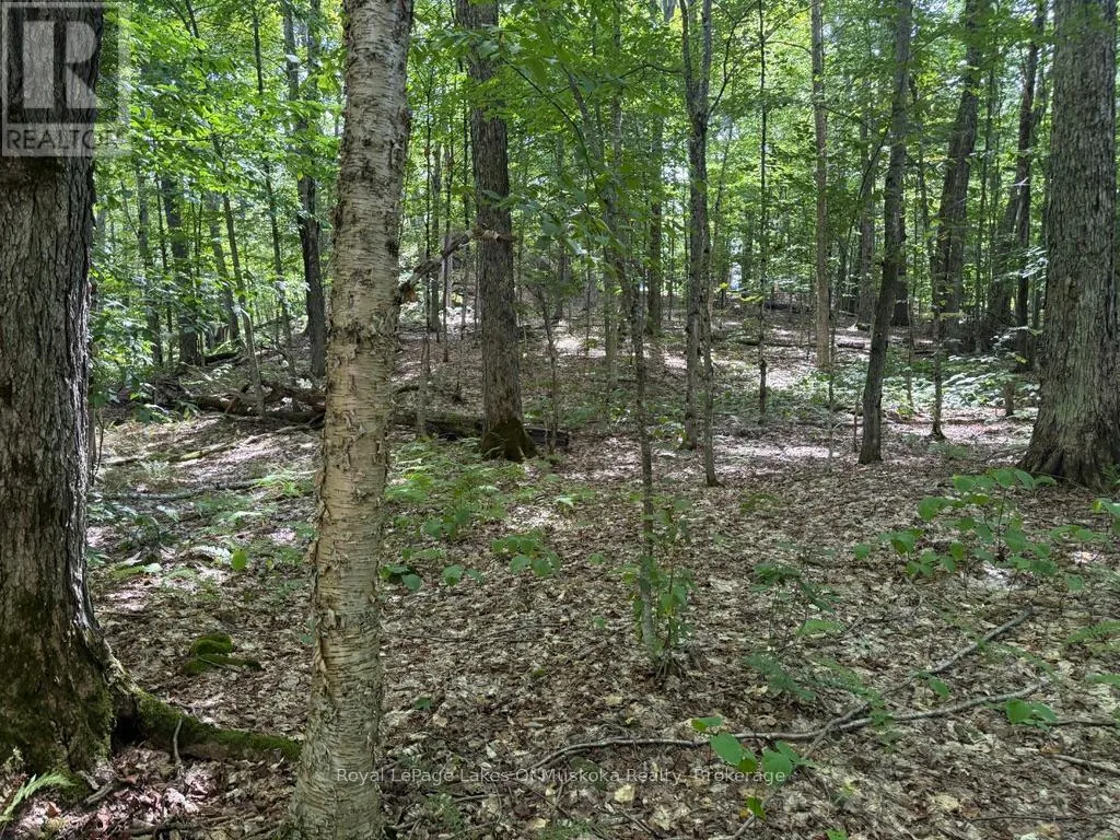 LOT 85 BRENNAN CIRCLE