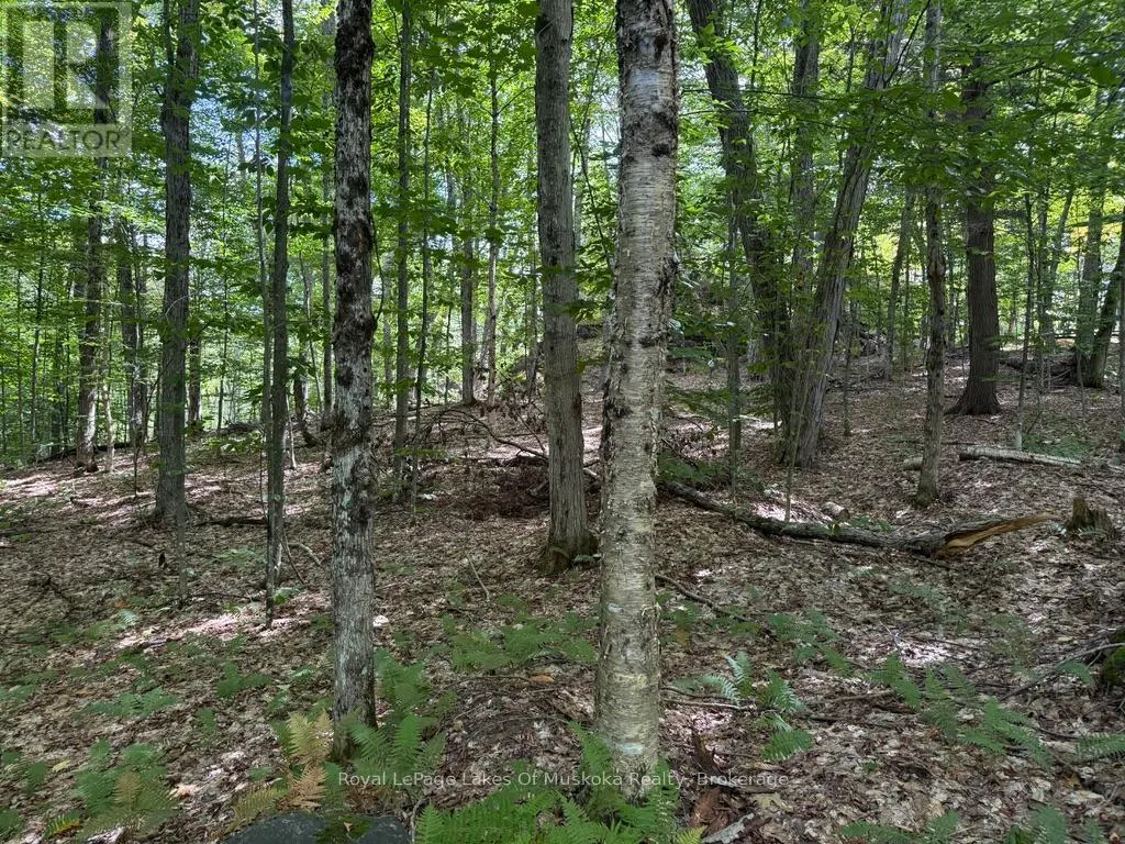 LOT 85 BRENNAN CIRCLE