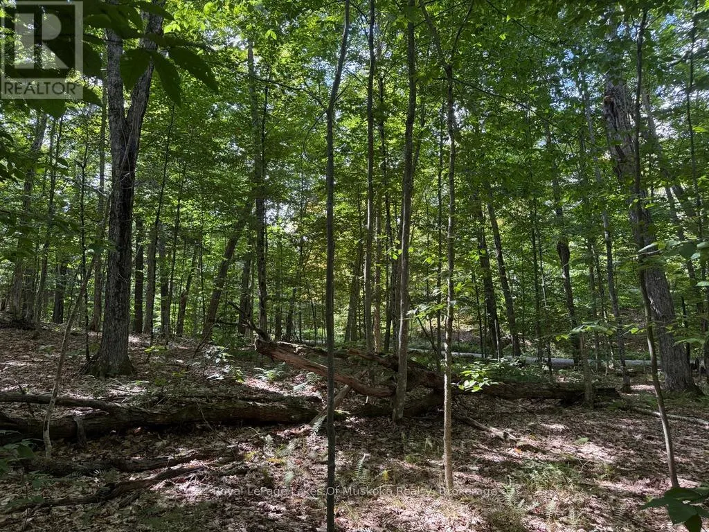 LOT 85 BRENNAN CIRCLE