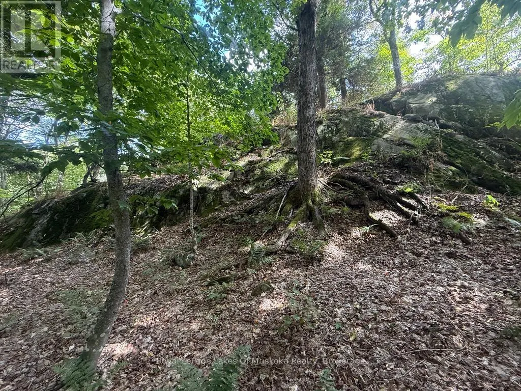 LOT 85 BRENNAN CIRCLE