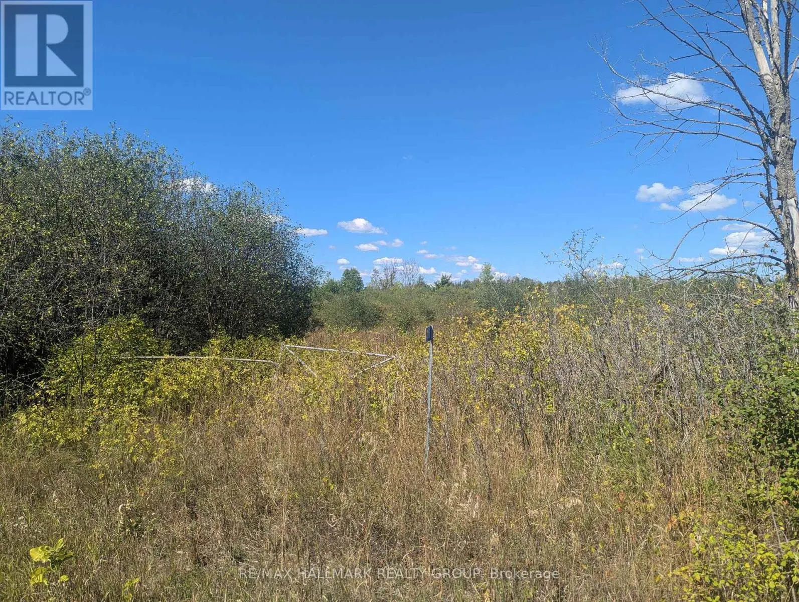 716 WILLIAM CAMPBELL ROAD