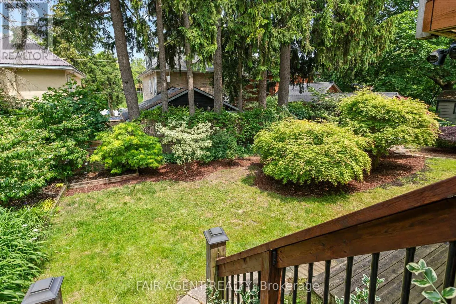 26 DALY AVENUE