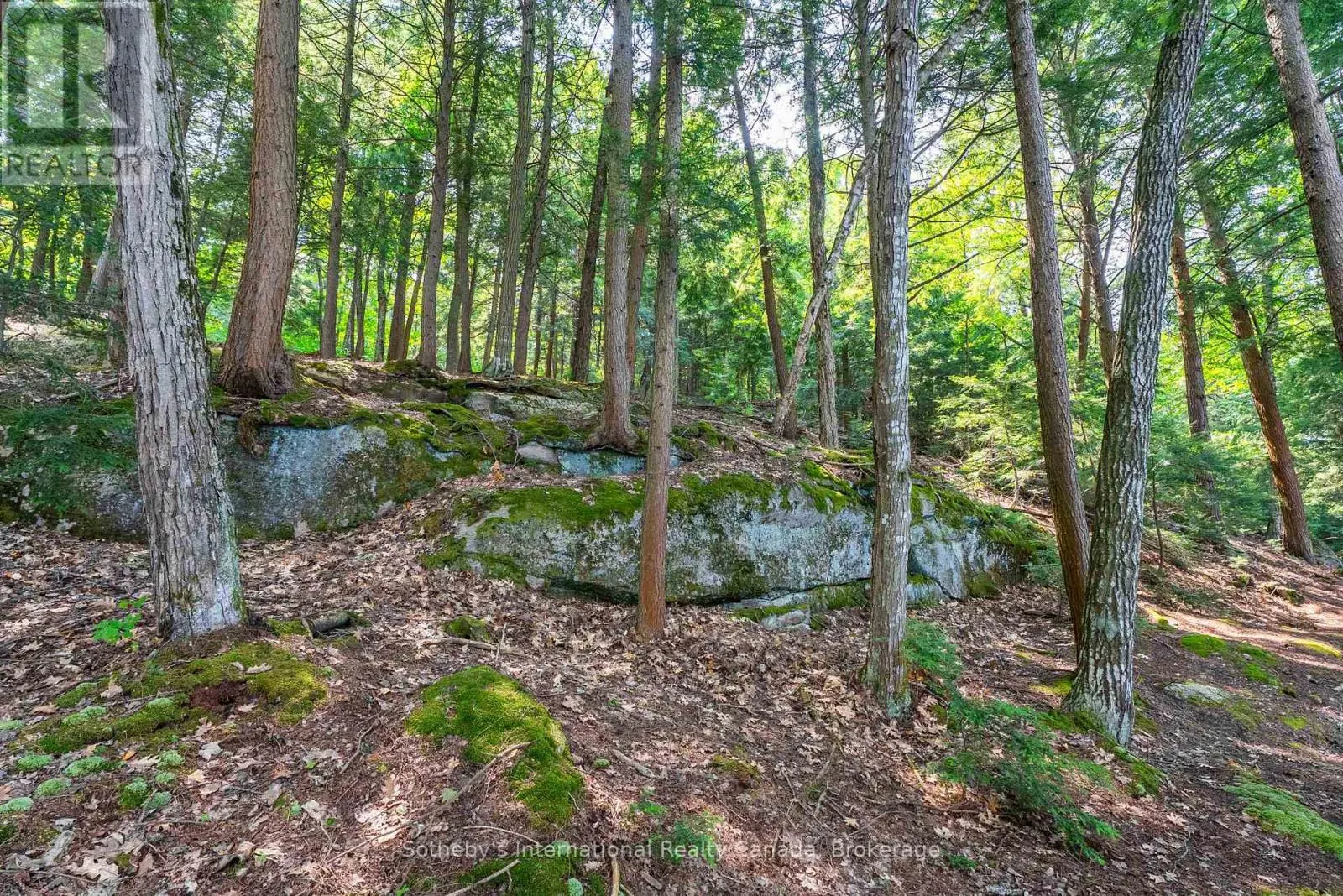 LOT C - 364 STANLEY HOUSE ROAD, #LOT C