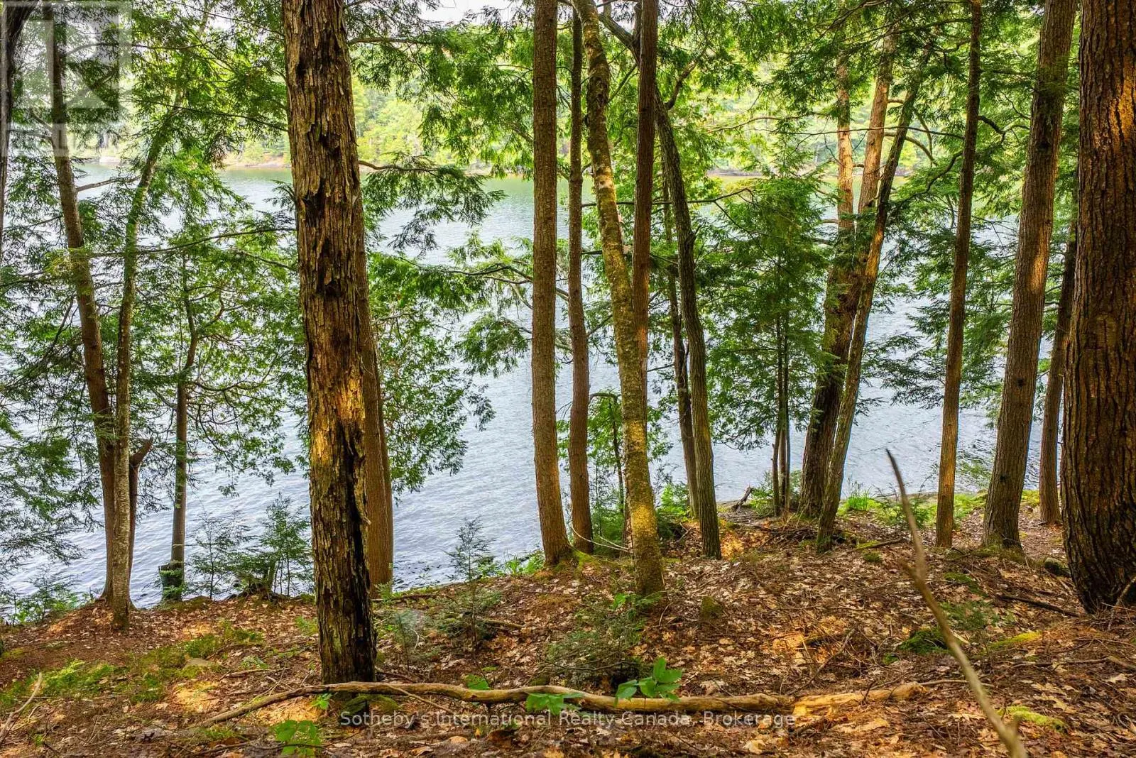 LOT C - 364 STANLEY HOUSE ROAD, #LOT C