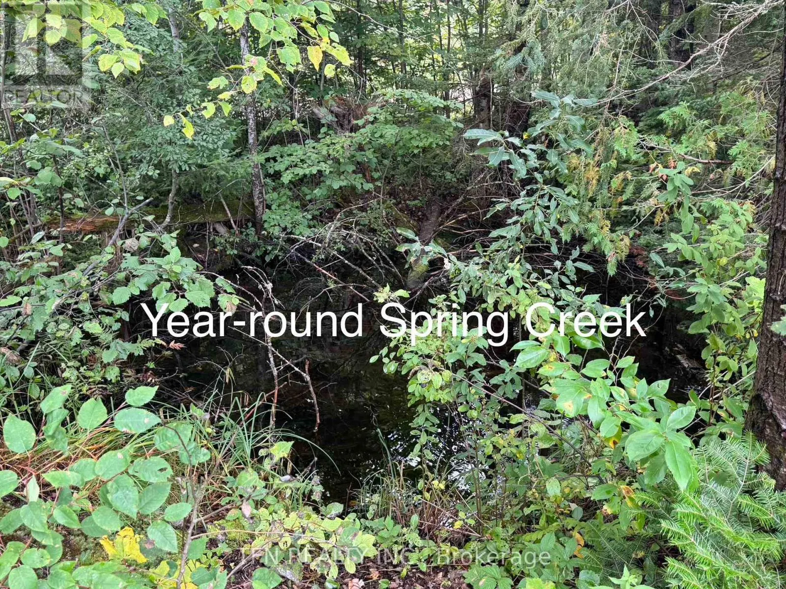 110 MACHAR STRONG BOUNDARY ROAD W