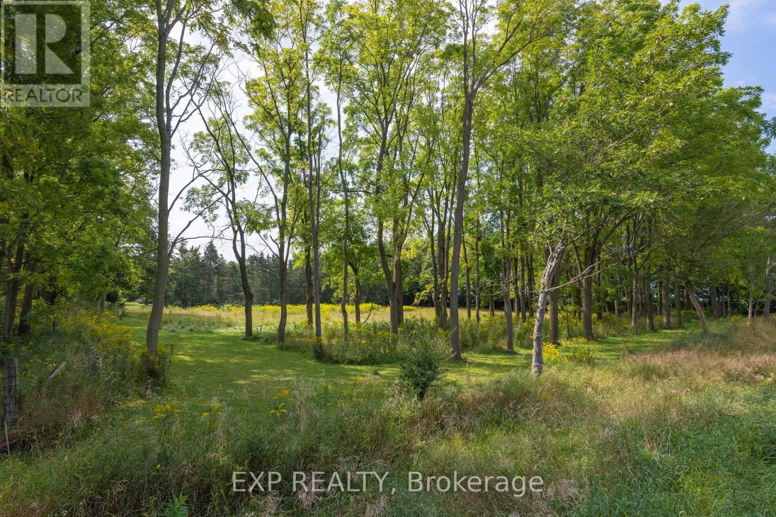 8101 DECKER DRIVE