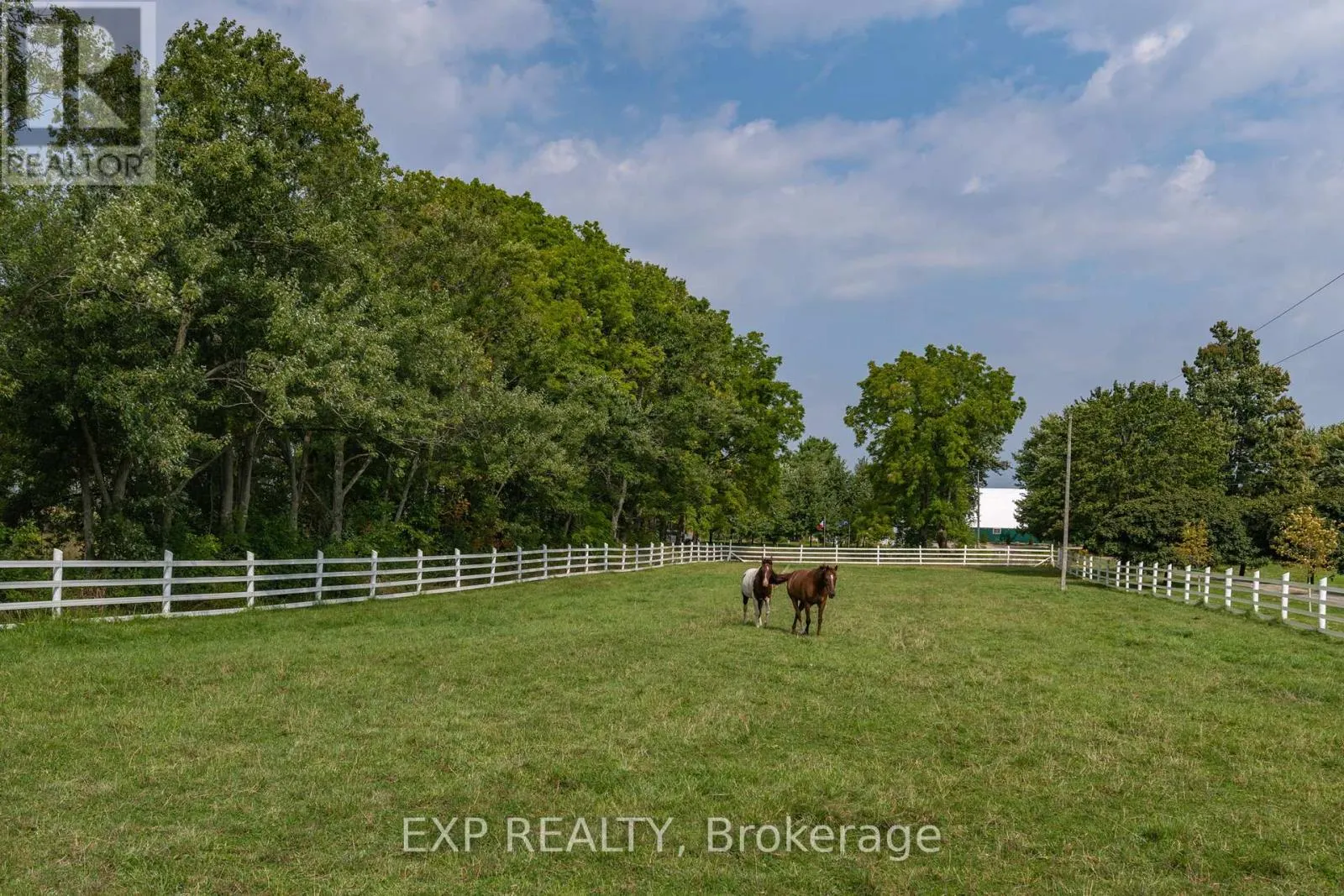8101 DECKER DRIVE