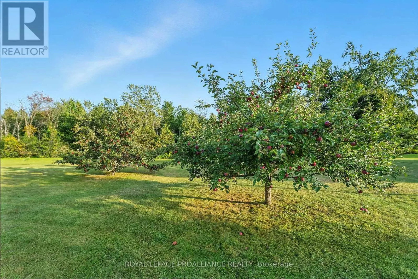 13799 COUNTY 21 ROAD