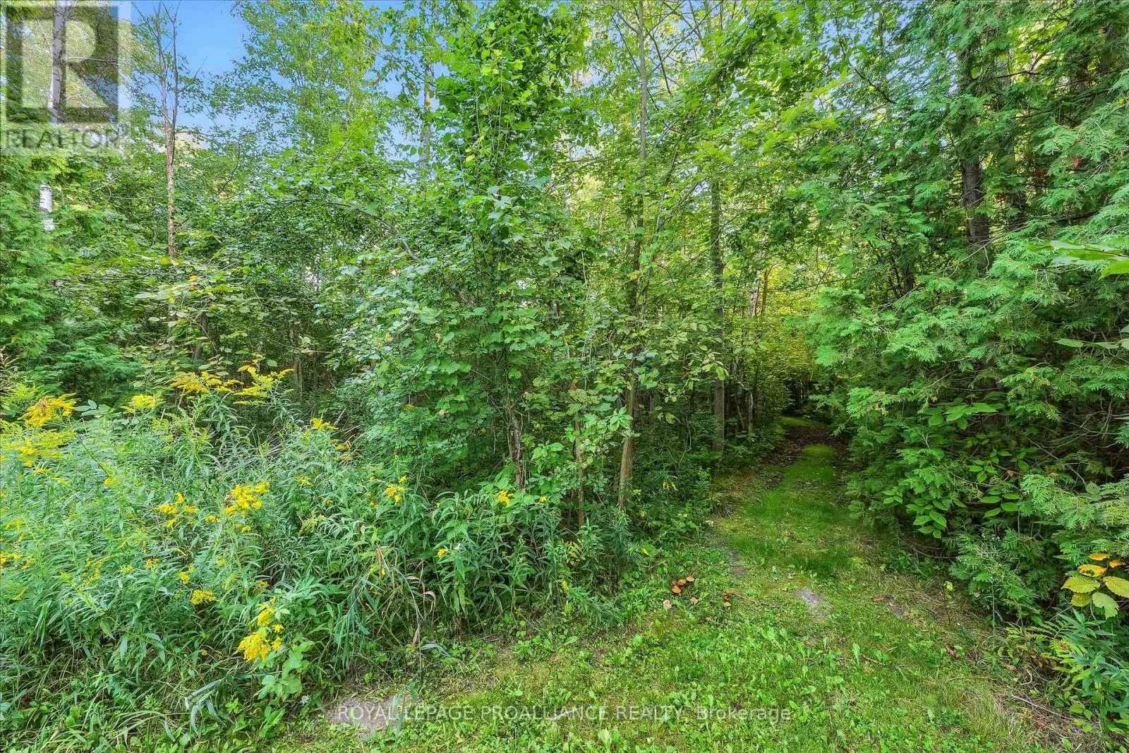 13799 COUNTY 21 ROAD