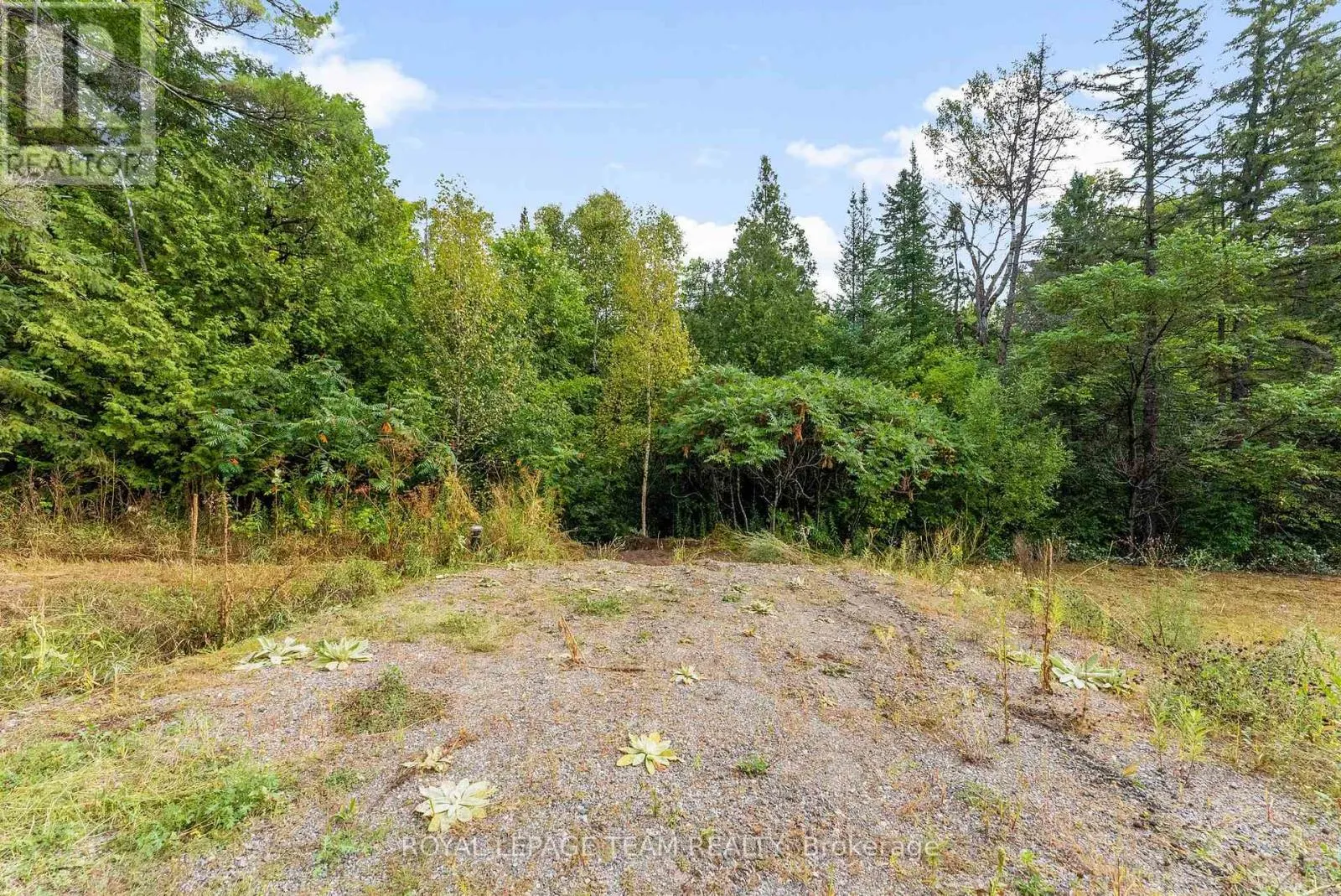 1412 FRENCH LINE ROAD