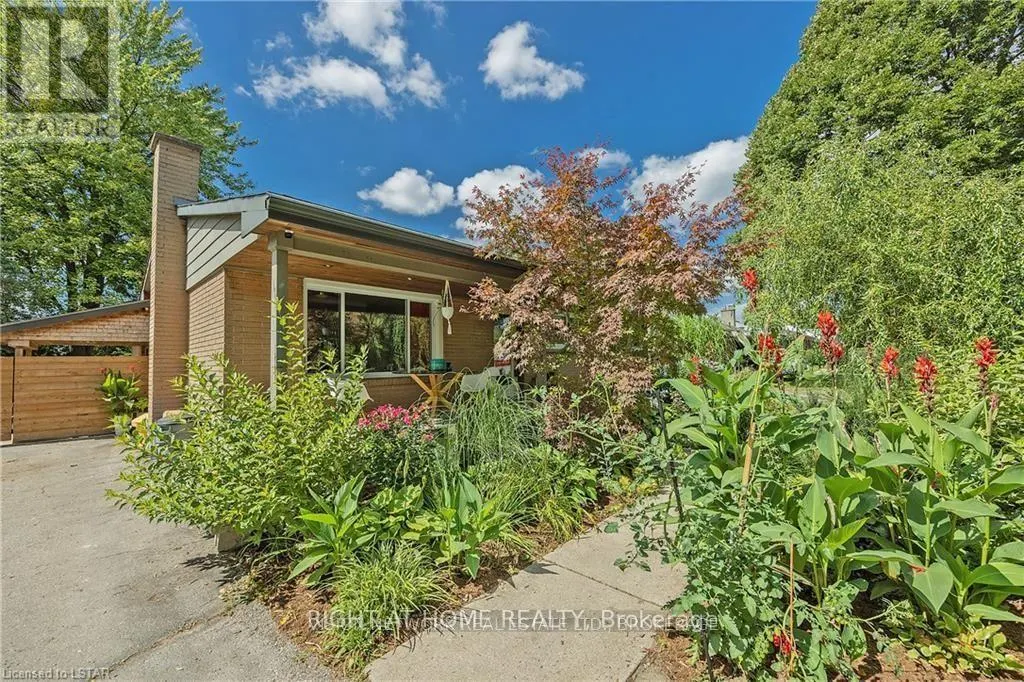 BASEMENT - 231 MICHAELMAS STREET