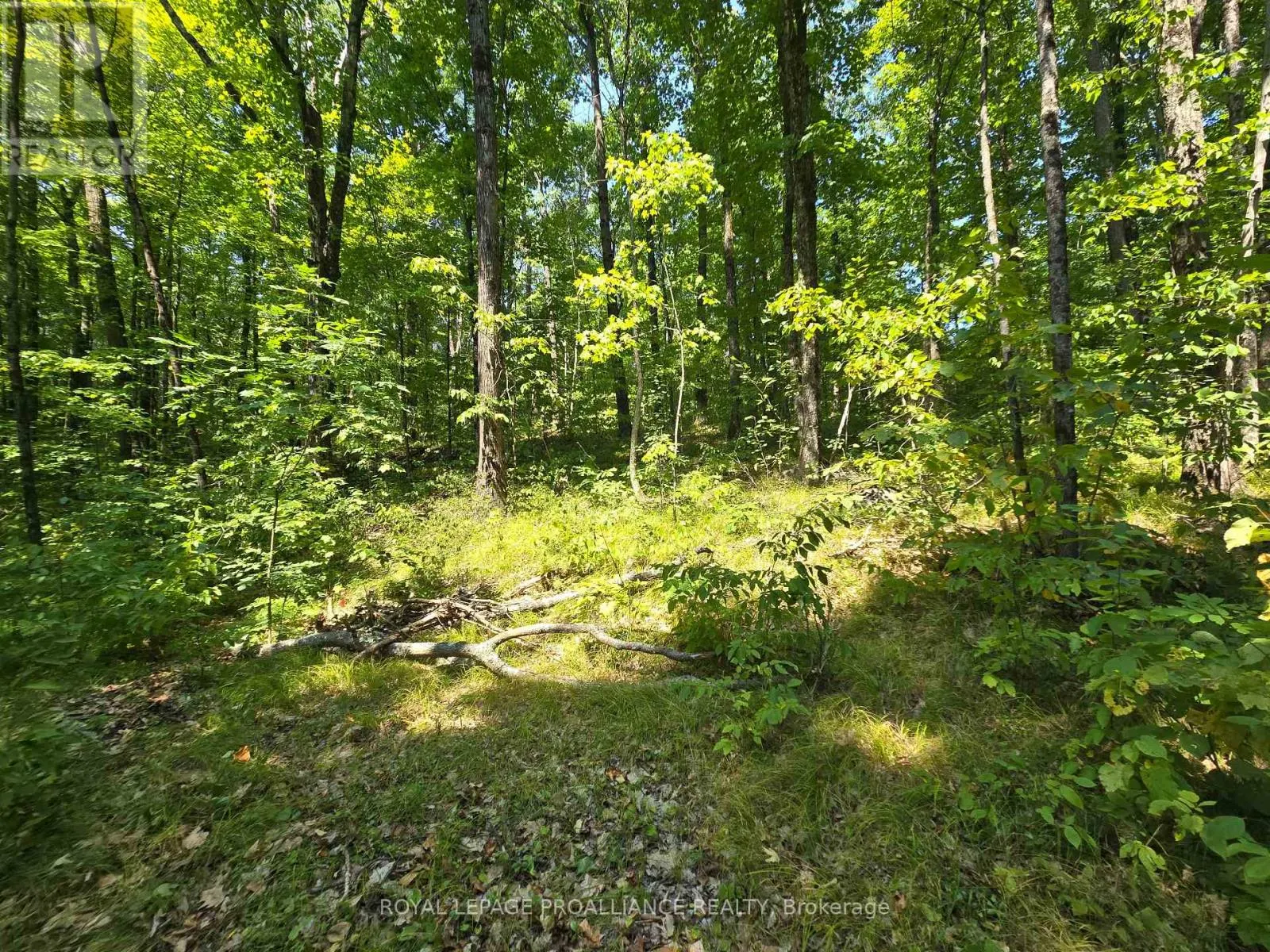 1255 BLUE HERON RIDGE