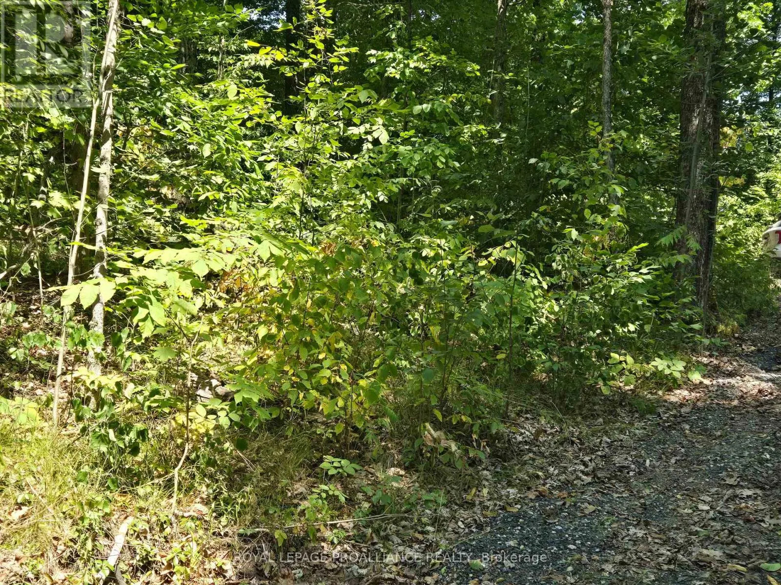 1255 BLUE HERON RIDGE