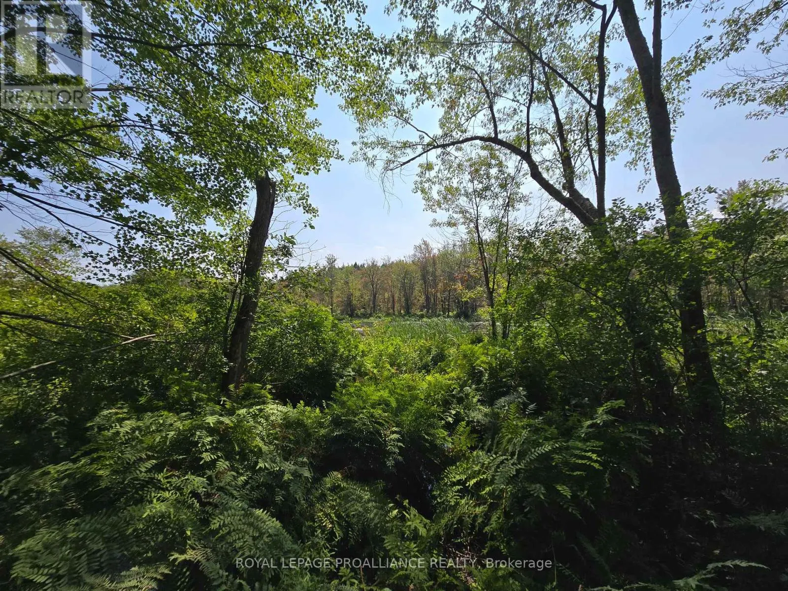 1255 BLUE HERON RIDGE