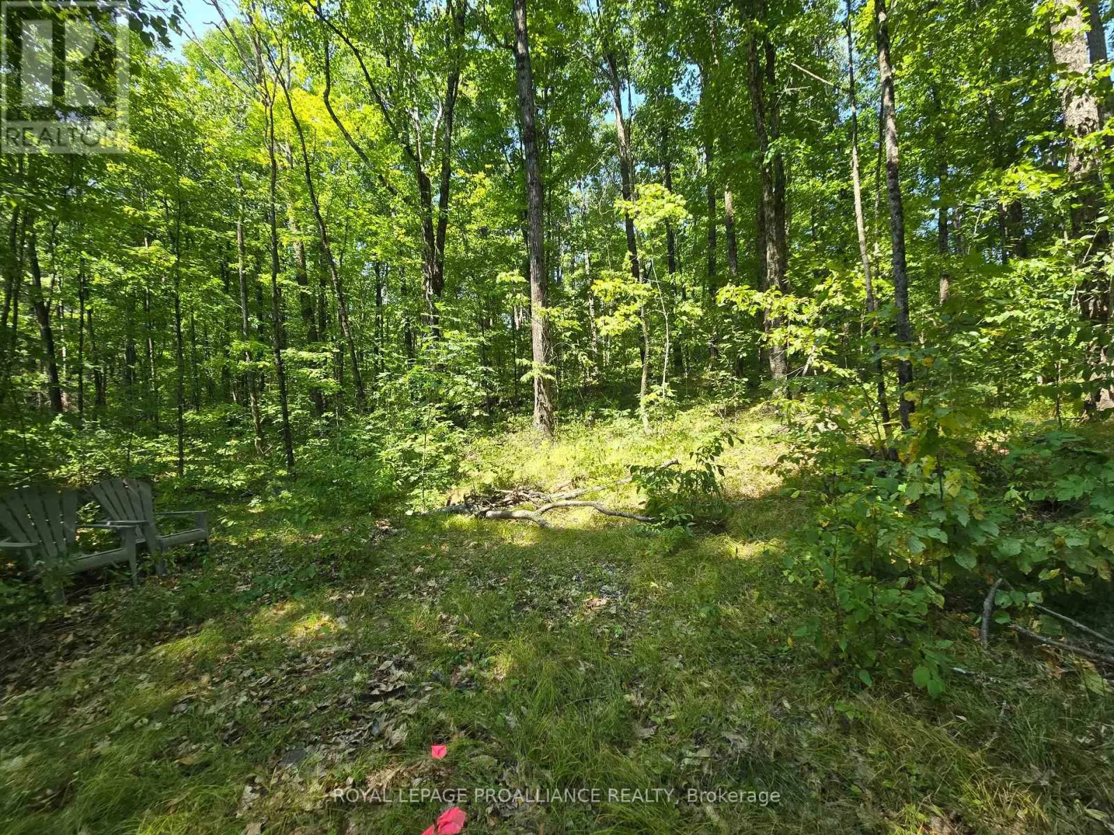 1255 BLUE HERON RIDGE