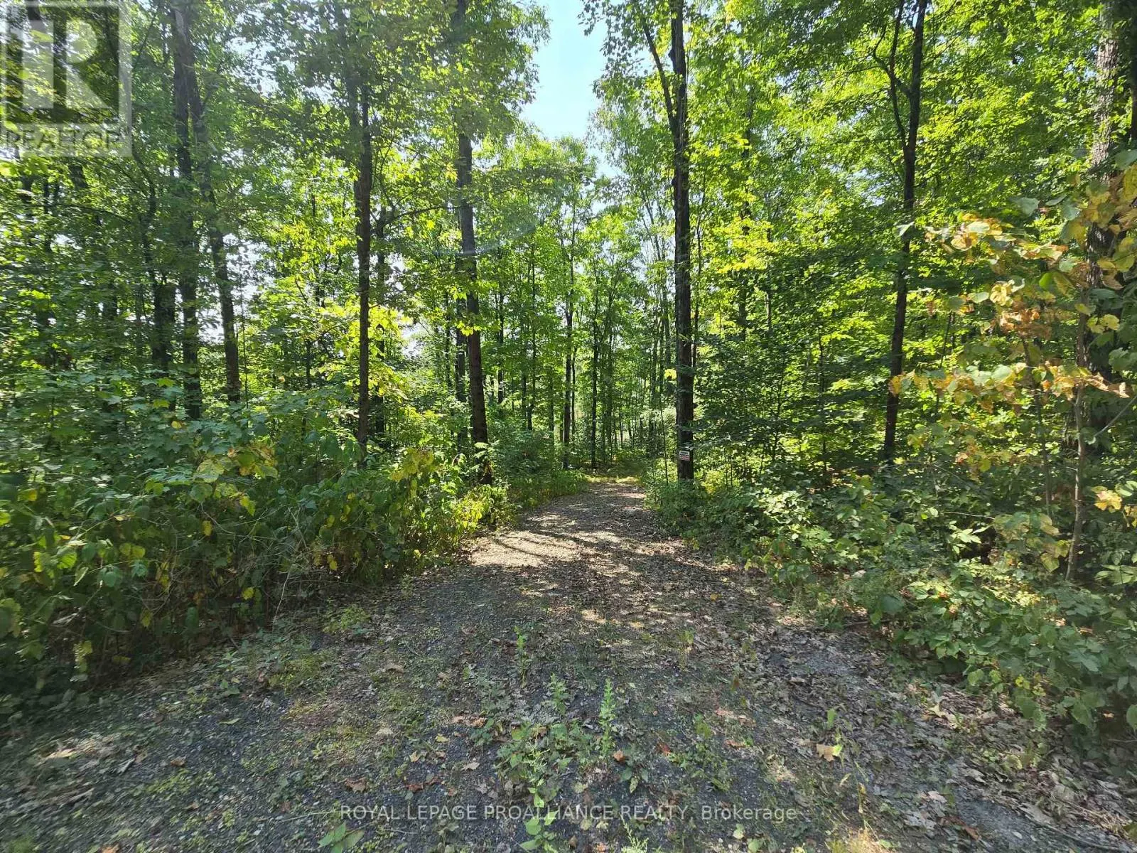 1255 BLUE HERON RIDGE