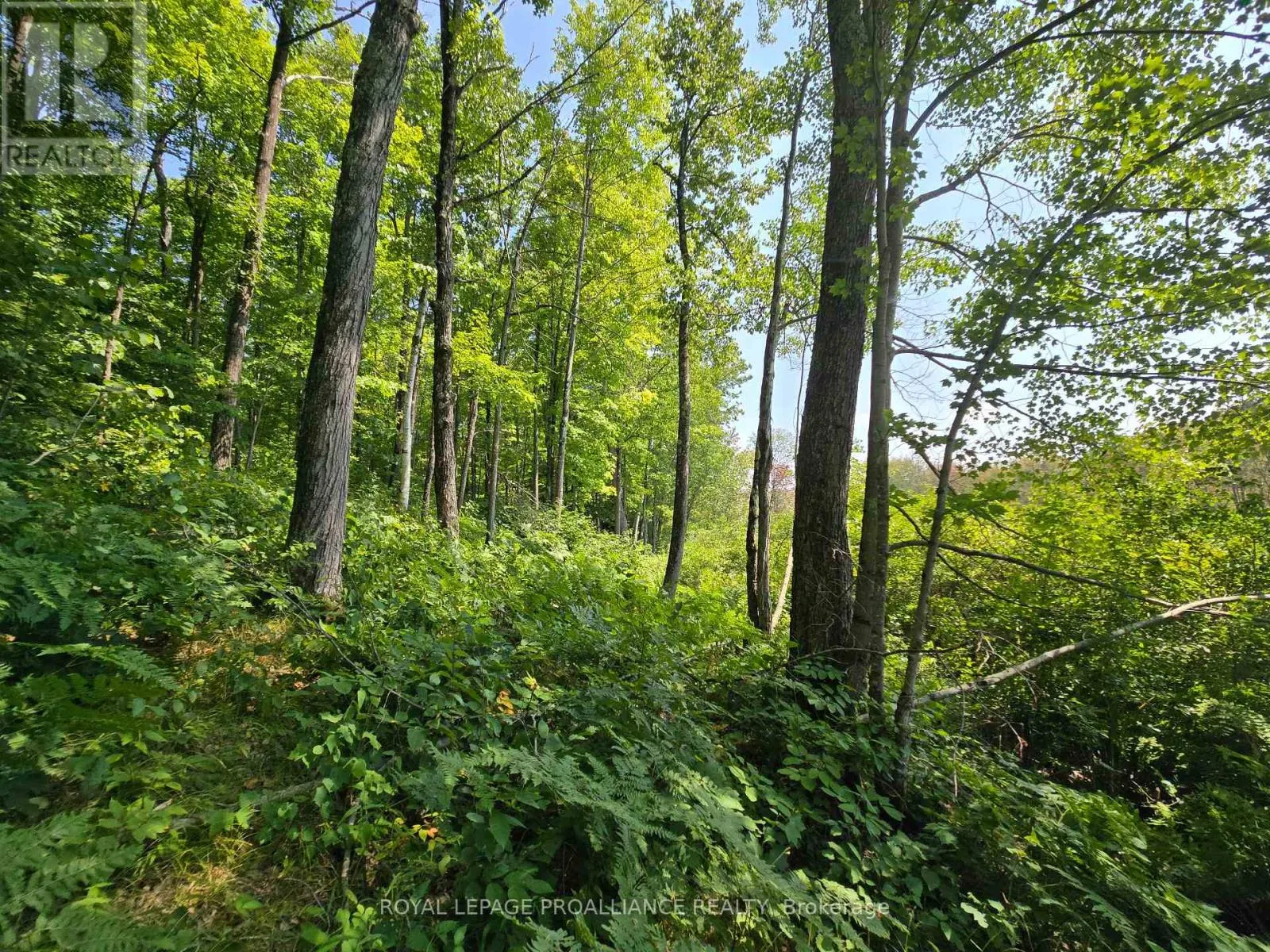 1255 BLUE HERON RIDGE