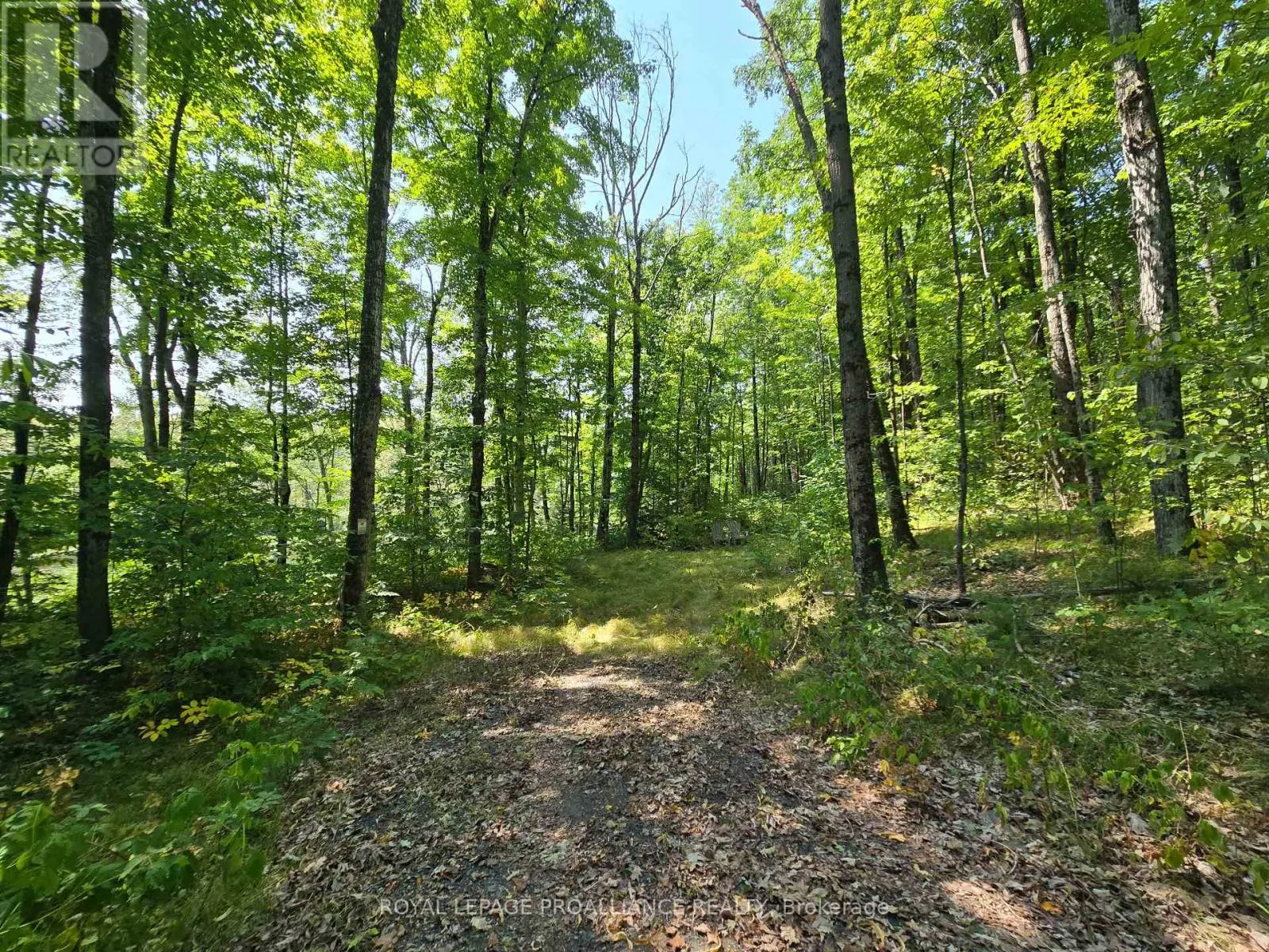 1255 BLUE HERON RIDGE