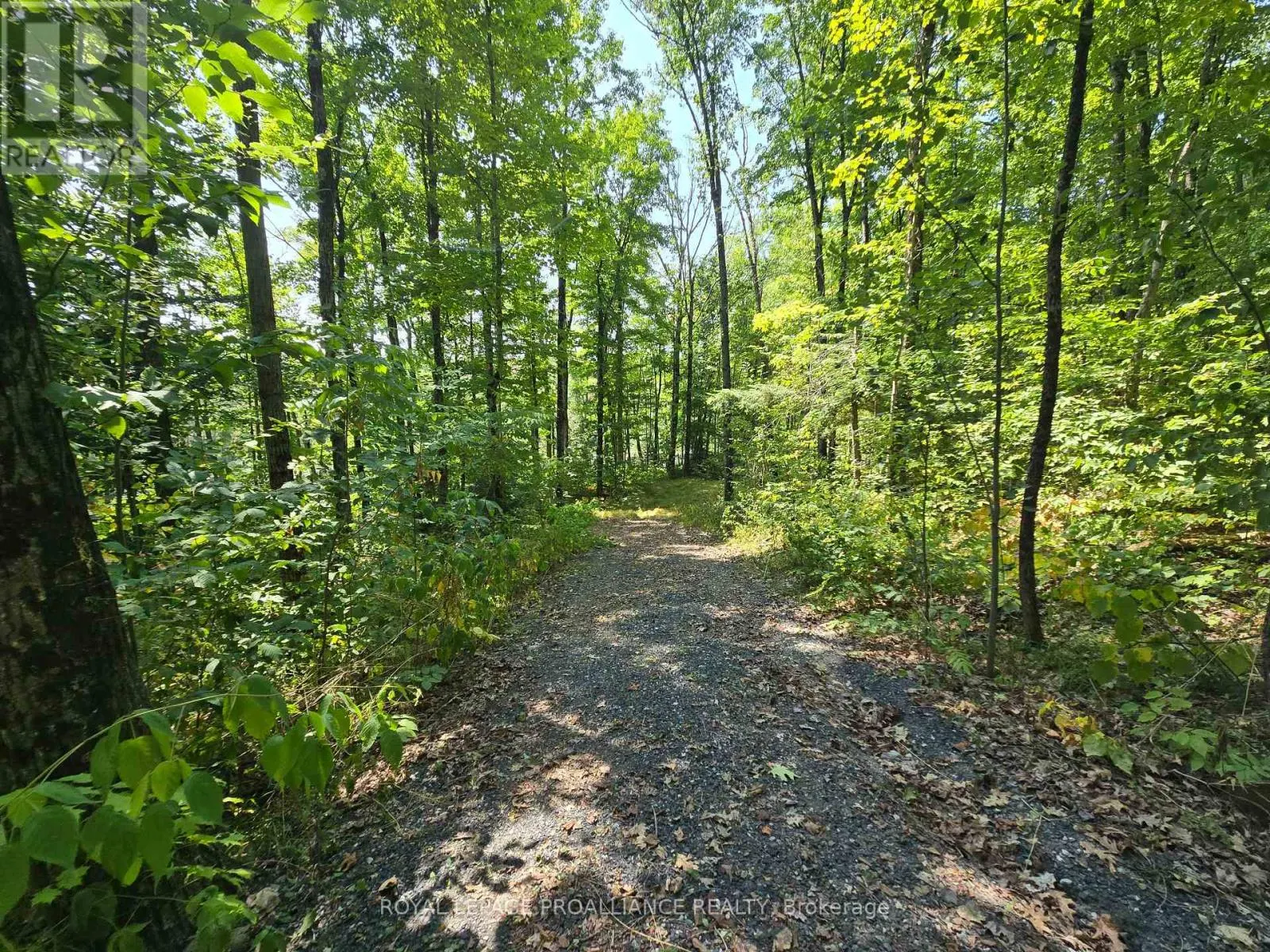 1255 BLUE HERON RIDGE
