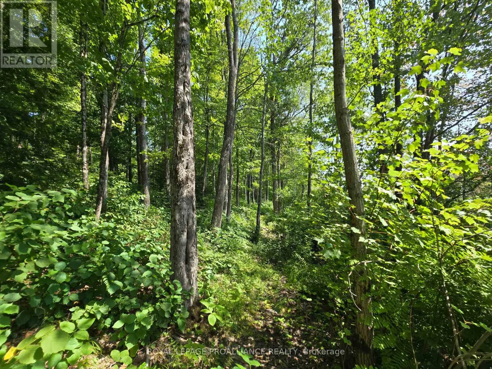 1255 BLUE HERON RIDGE