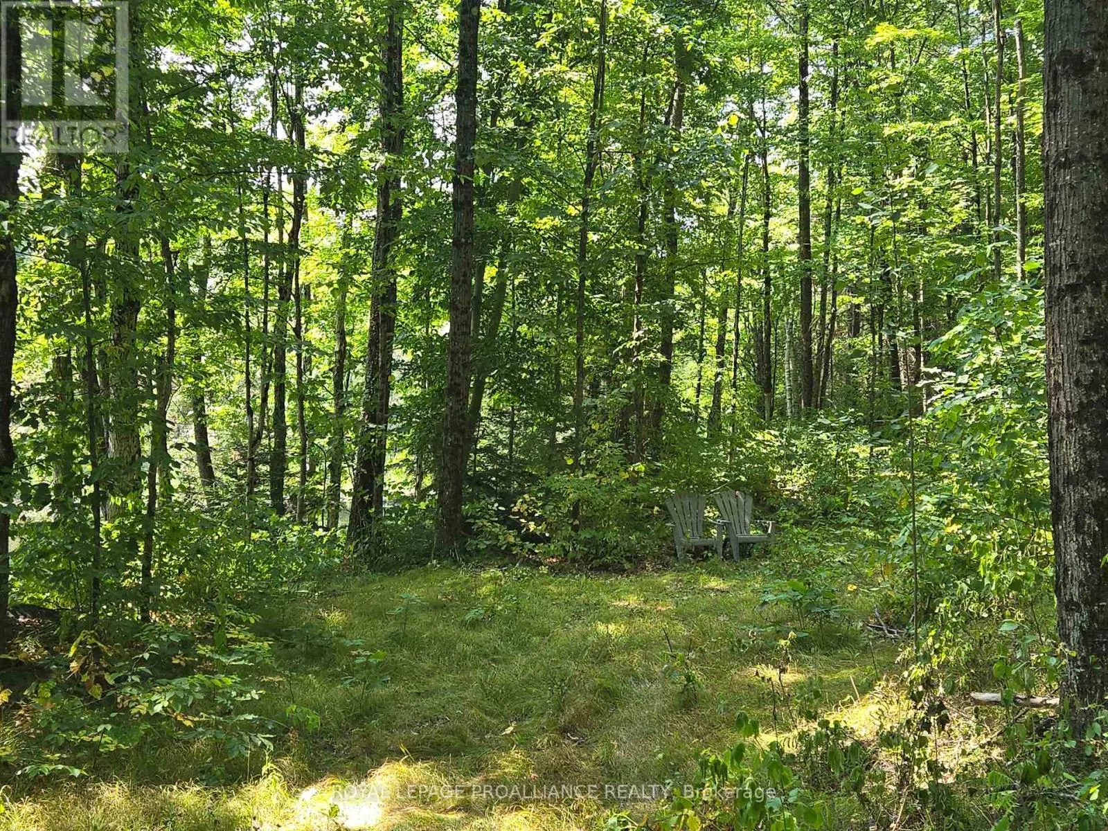 1255 BLUE HERON RIDGE