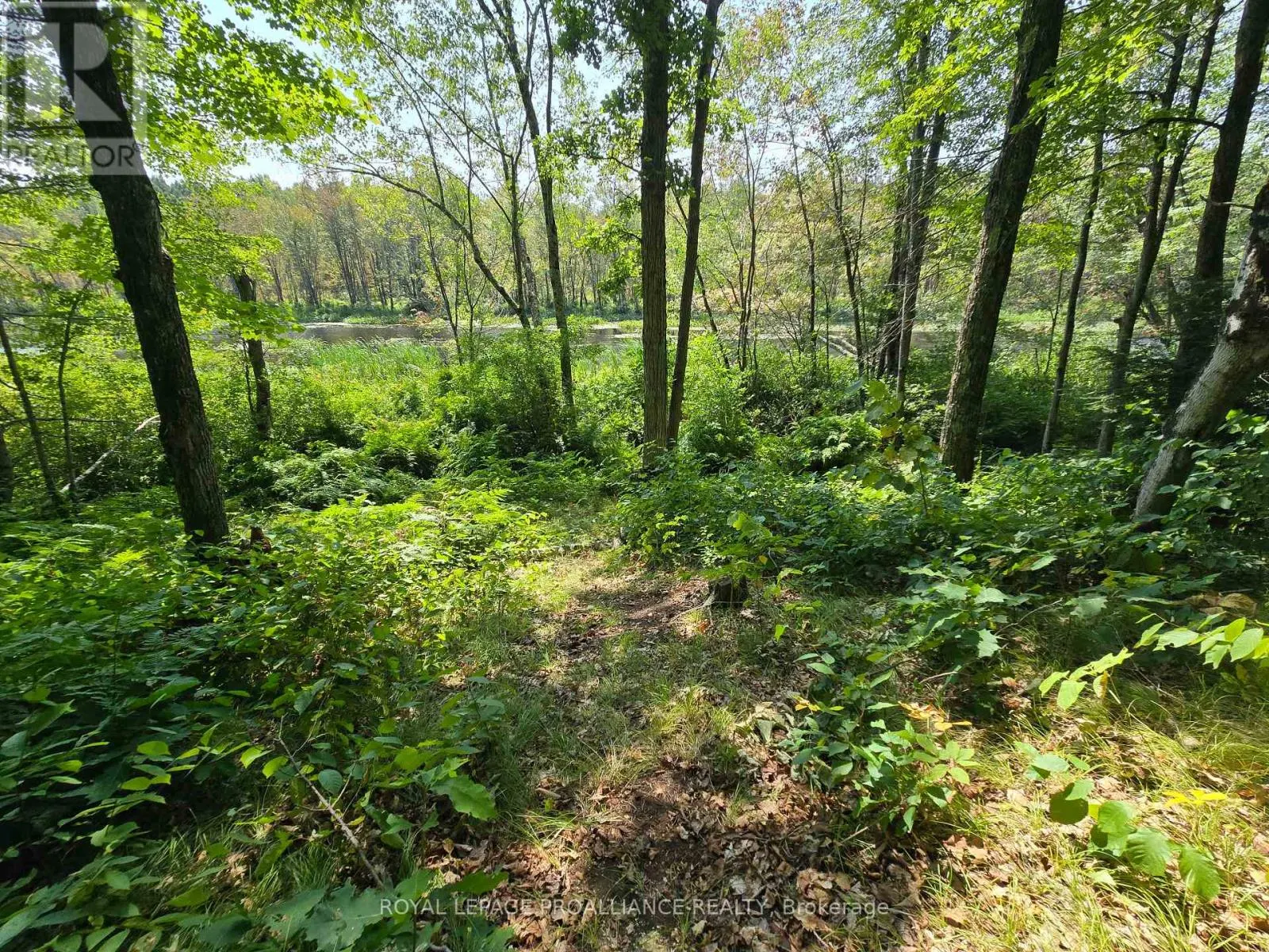 1255 BLUE HERON RIDGE