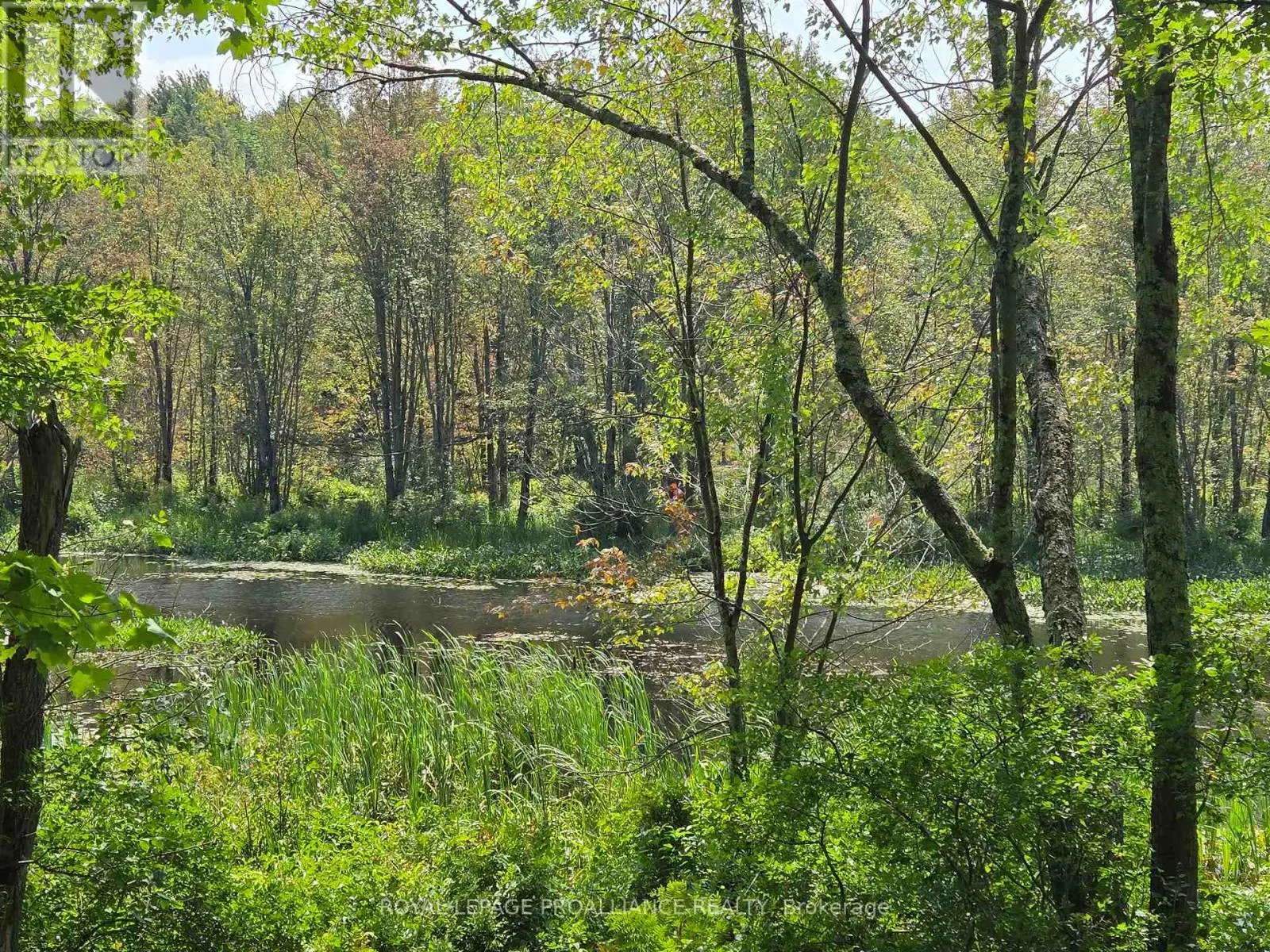 1255 BLUE HERON RIDGE