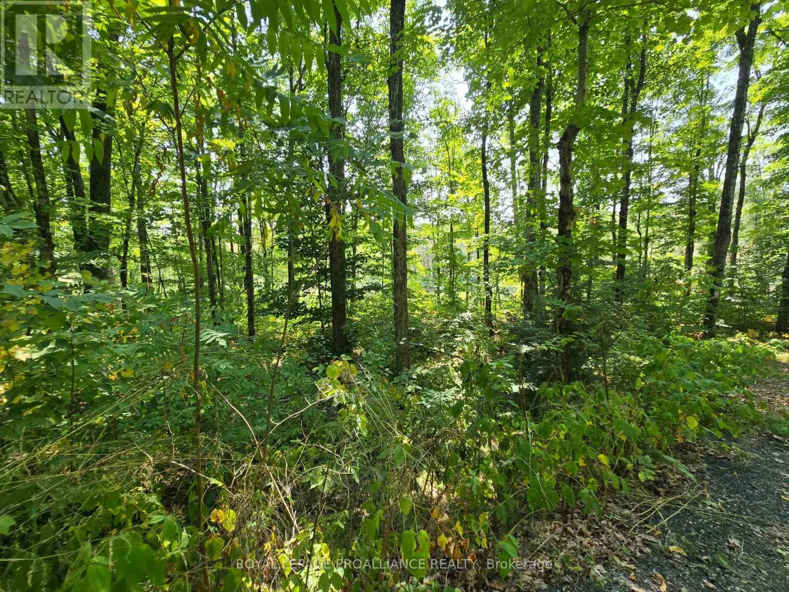 1255 BLUE HERON RIDGE