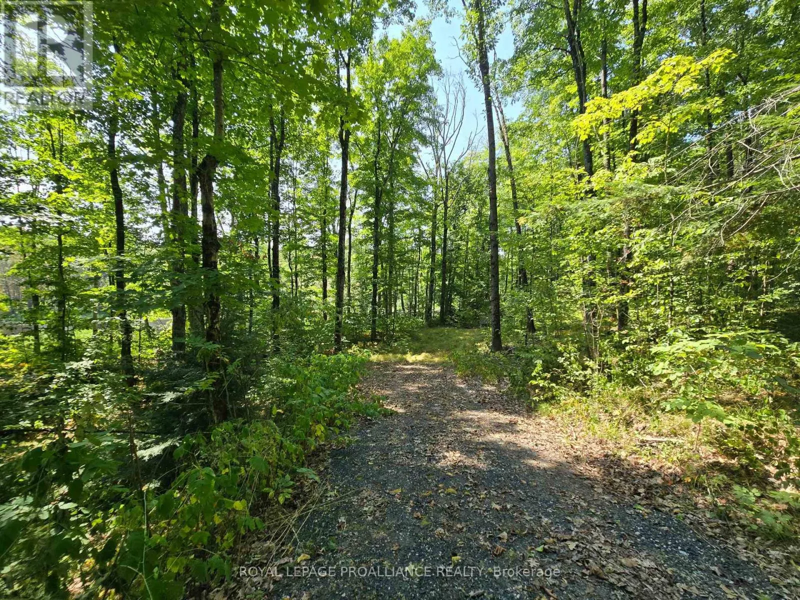1255 BLUE HERON RIDGE