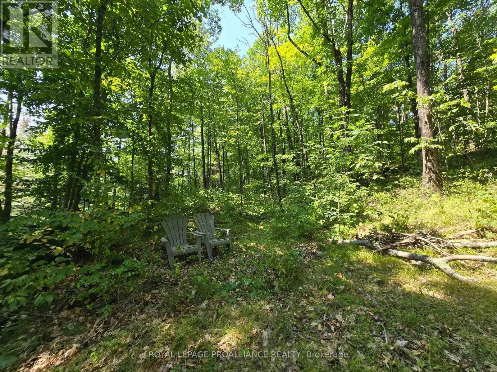 1255 BLUE HERON RIDGE