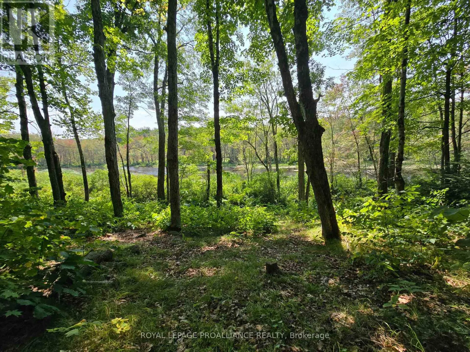 1255 BLUE HERON RIDGE