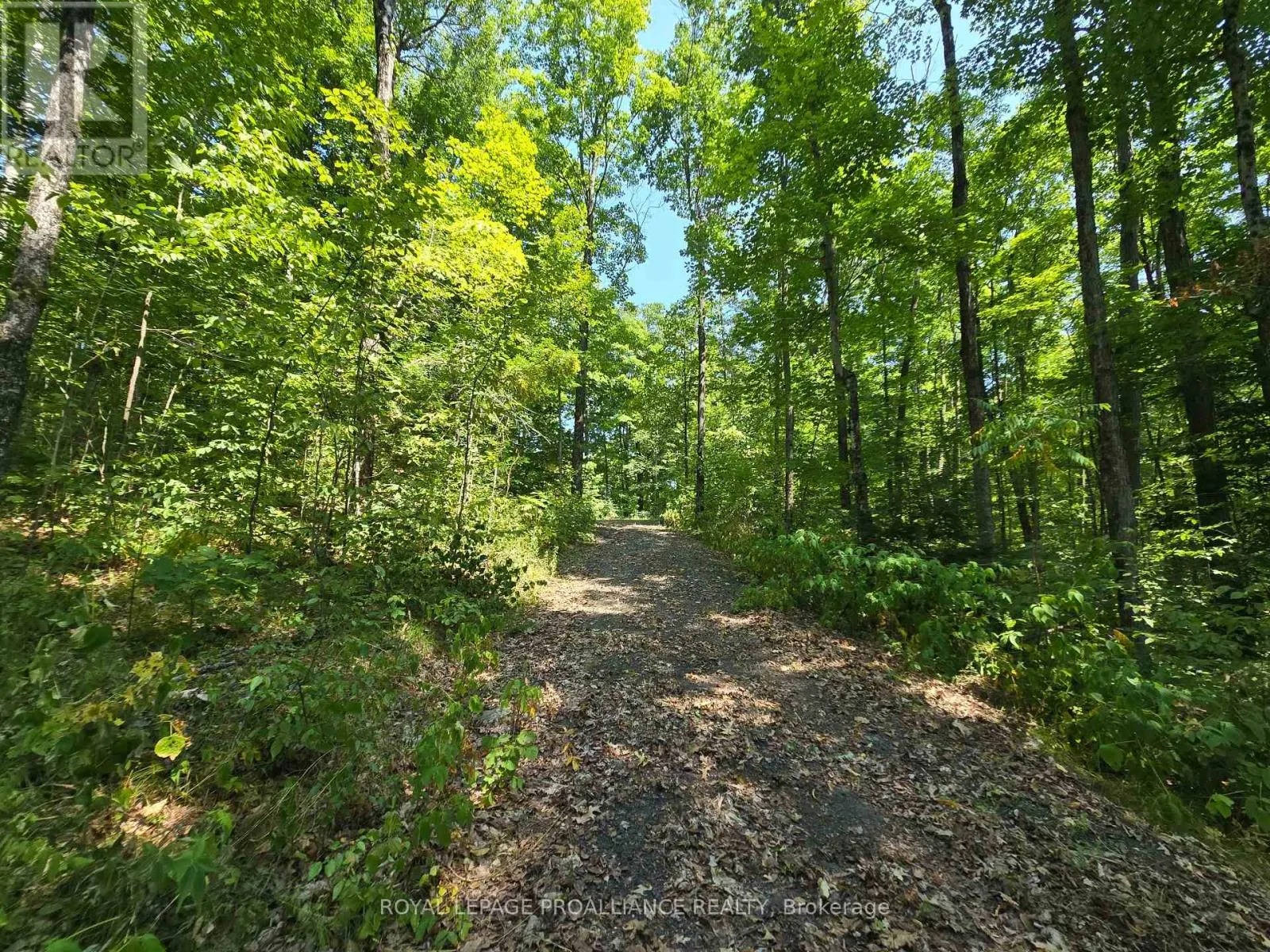 1255 BLUE HERON RIDGE