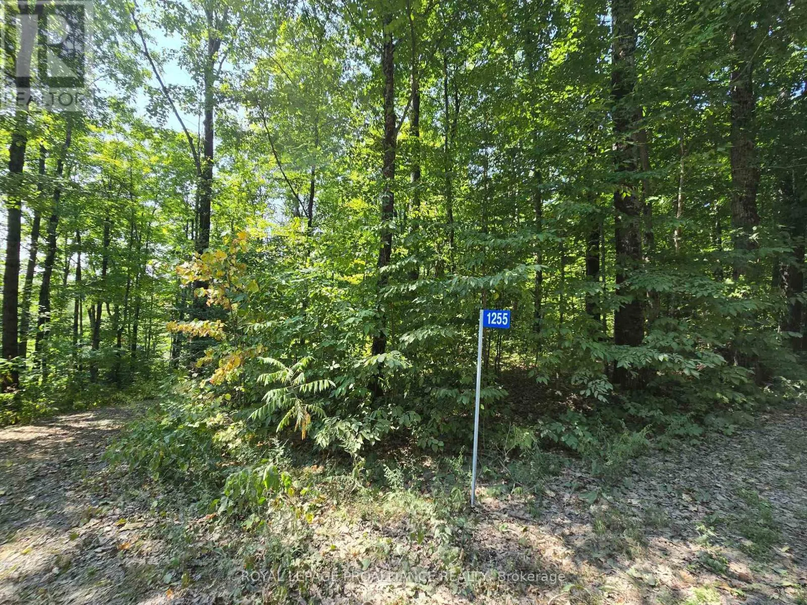 1255 BLUE HERON RIDGE RIDGE