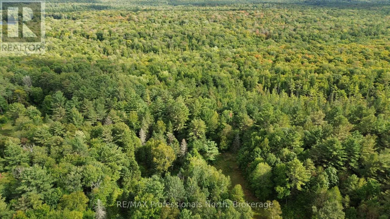 671 LYNX LAKE ROAD