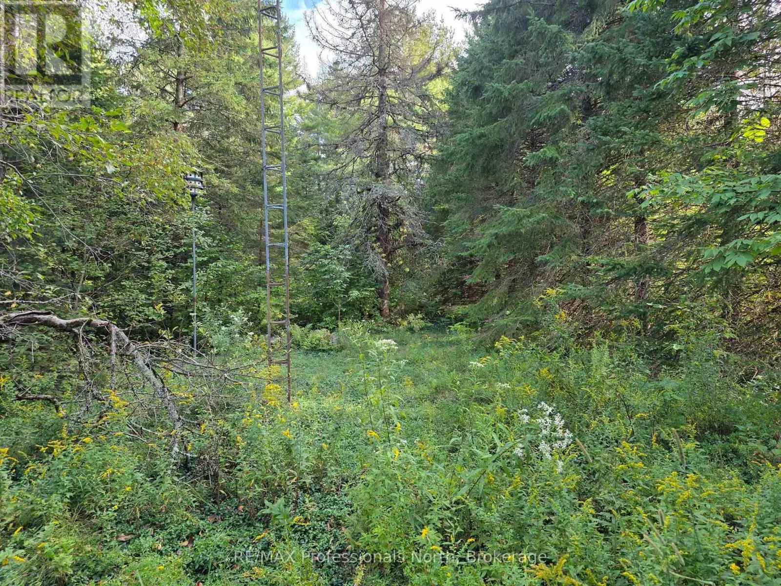 671 LYNX LAKE ROAD
