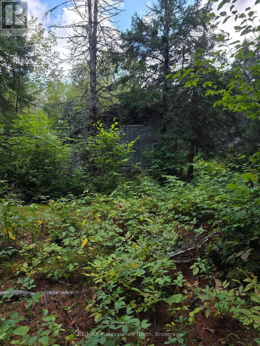 671 LYNX LAKE ROAD