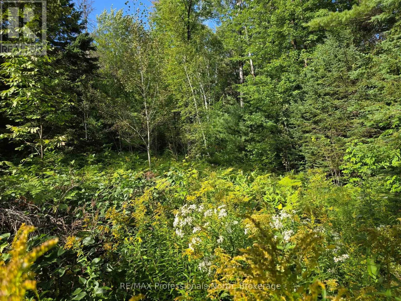 671 LYNX LAKE ROAD