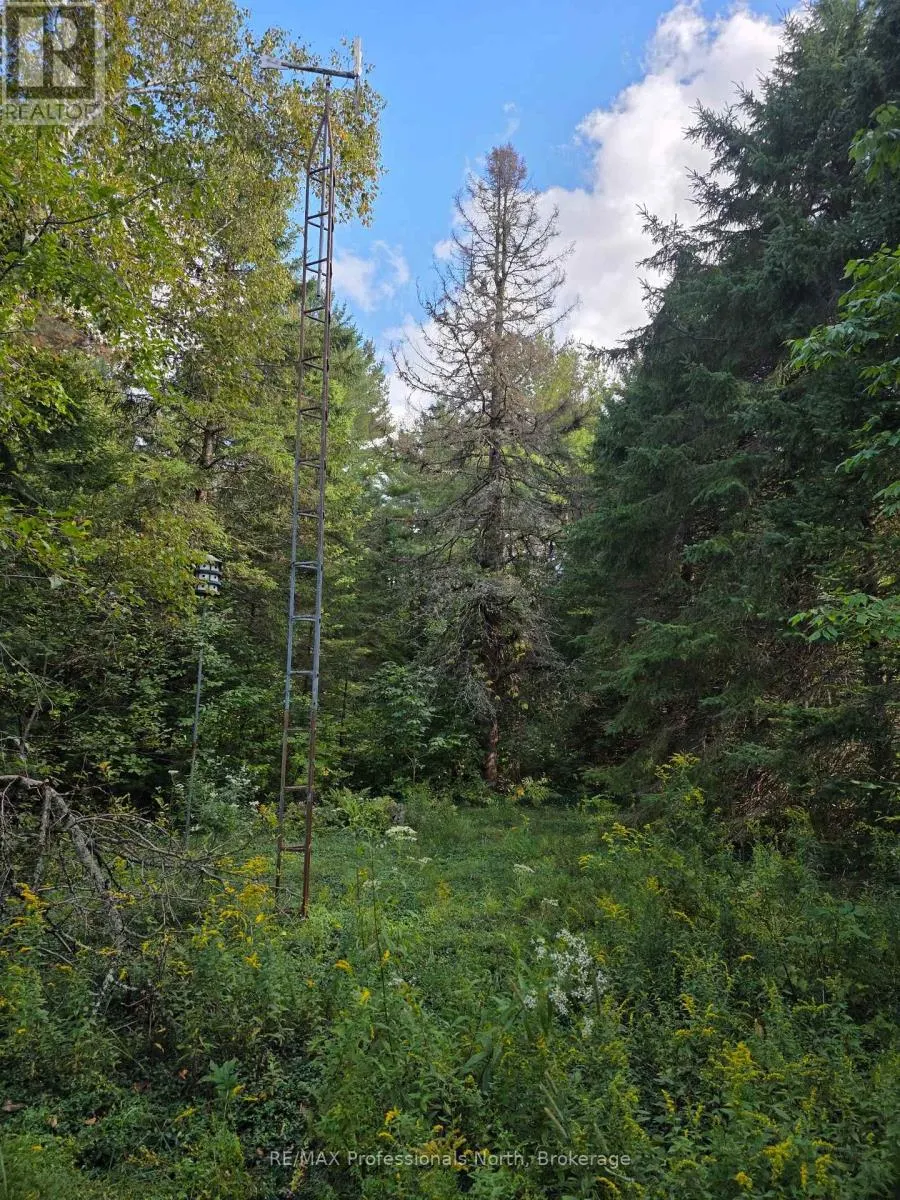 671 LYNX LAKE ROAD