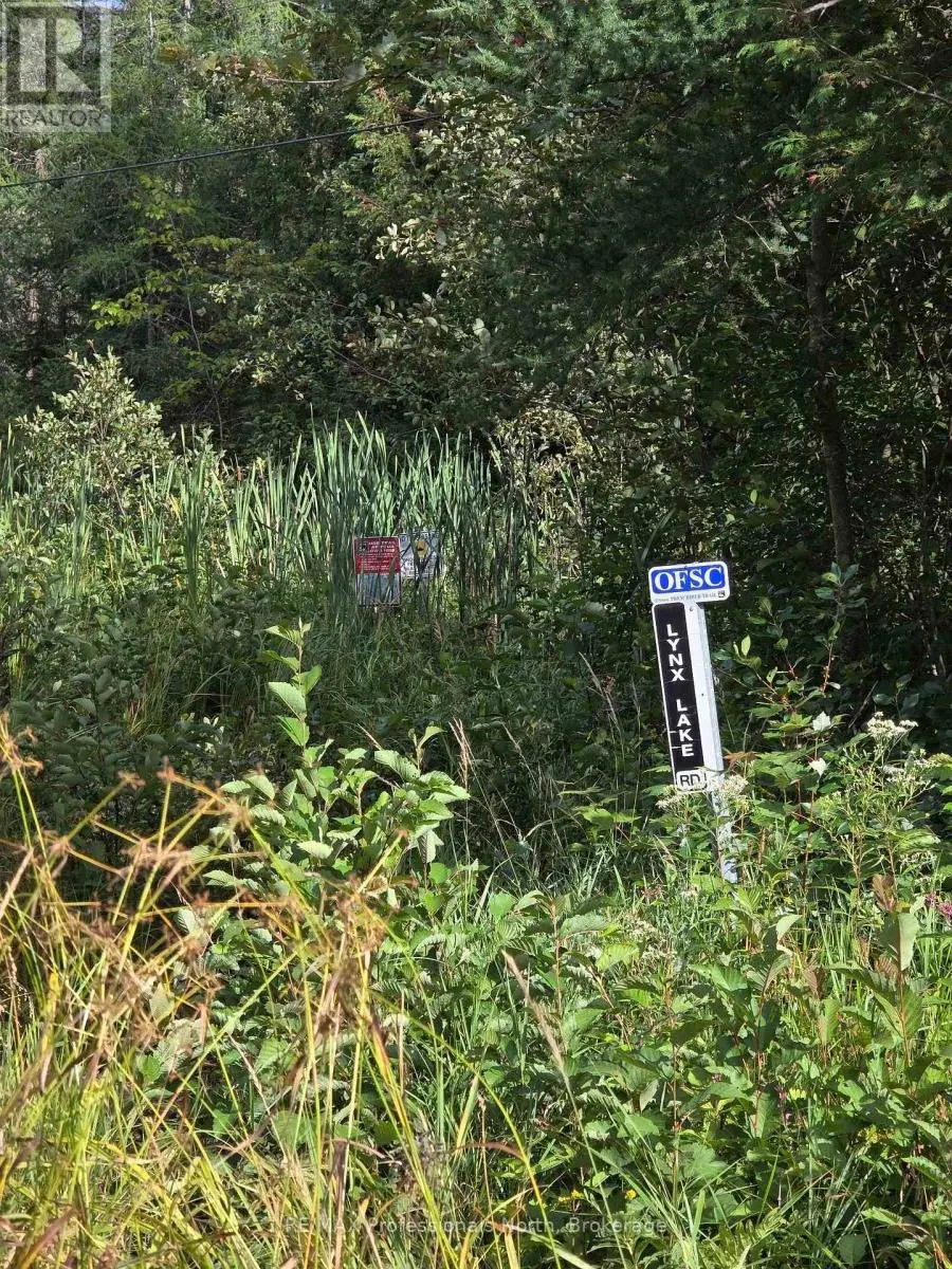 671 LYNX LAKE ROAD