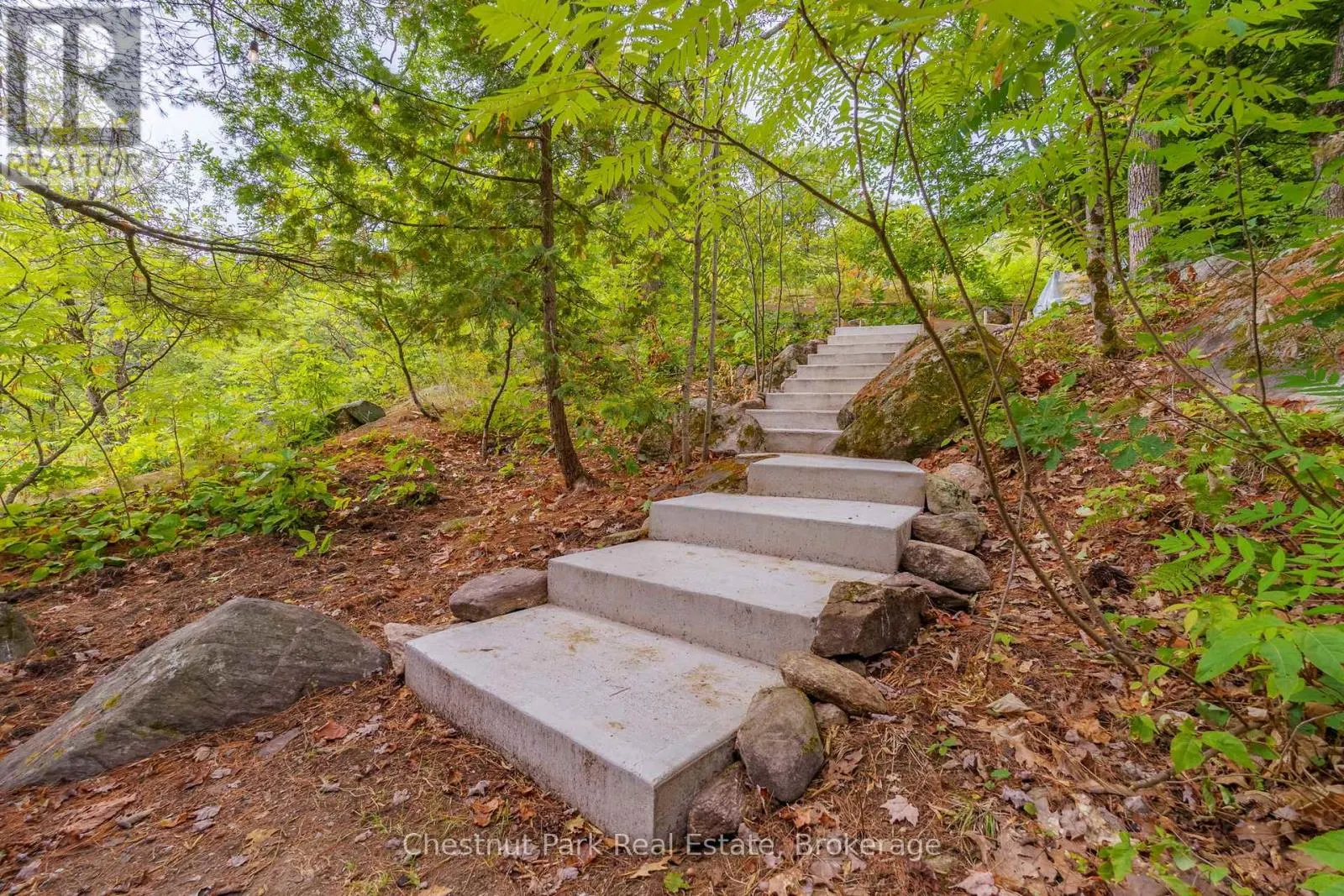 517 MOHAWK ROAD