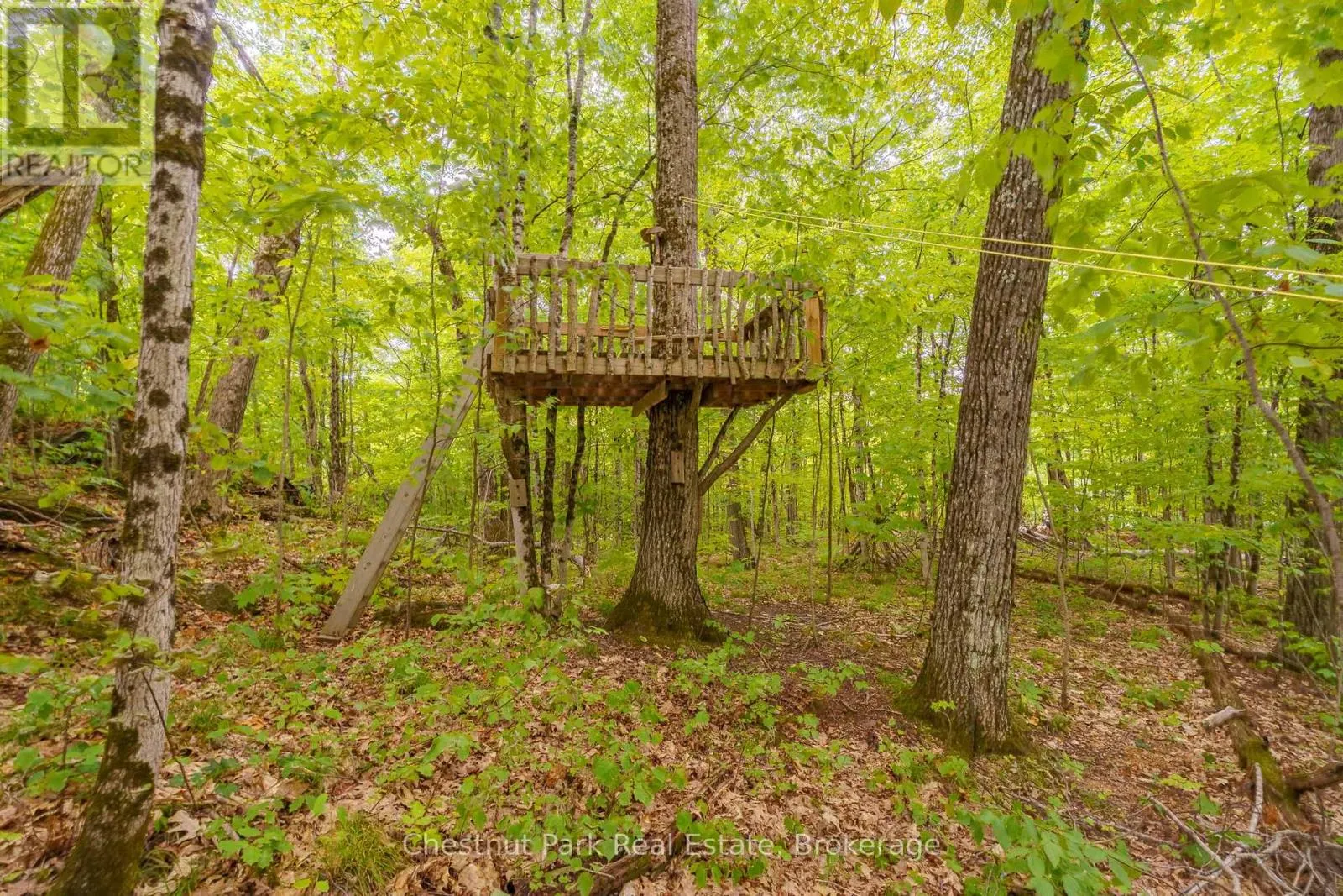517 MOHAWK ROAD